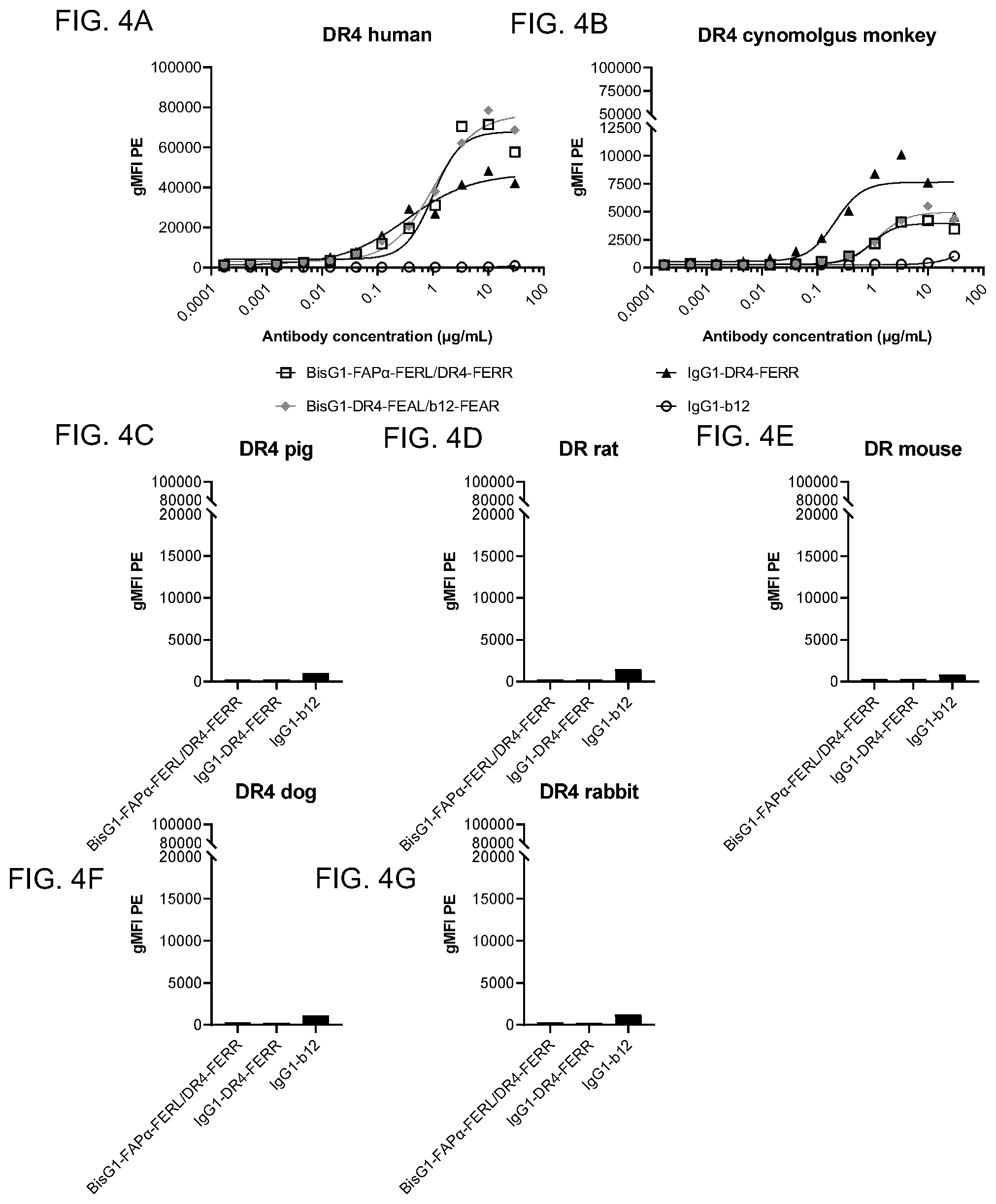 Patent US12351650 Figure 5 – Antibodies binding to fibroblast activation protein alpha and death receptor 4