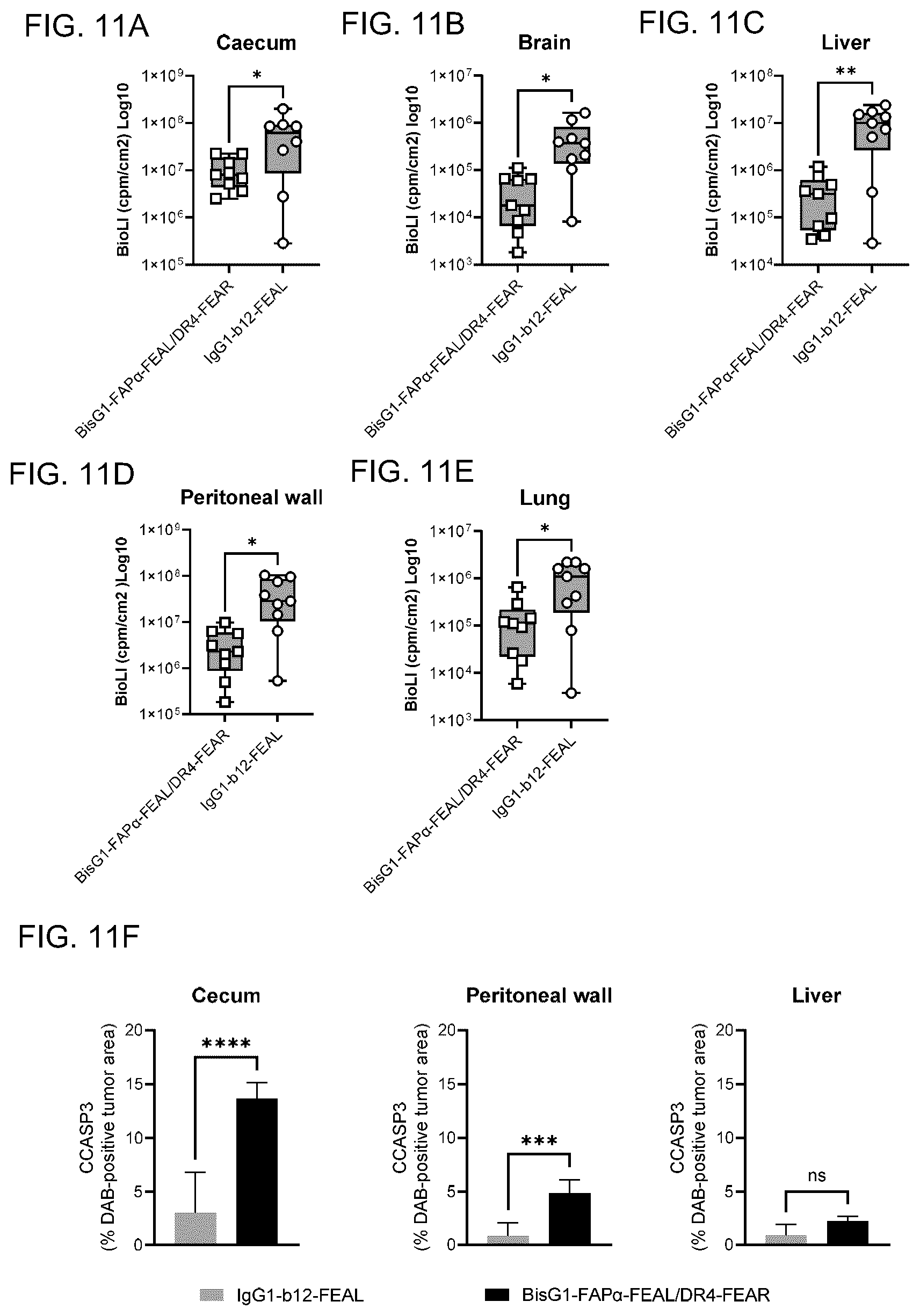 Patent US12351650 Figure 14 – Antibodies binding to fibroblast activation protein alpha and death receptor 4