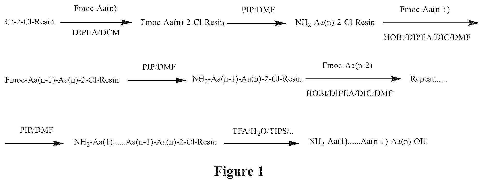 Patent US12351651 — Polypeptide for repairing mucosal damage or skin wound and use thereof — Figure 1