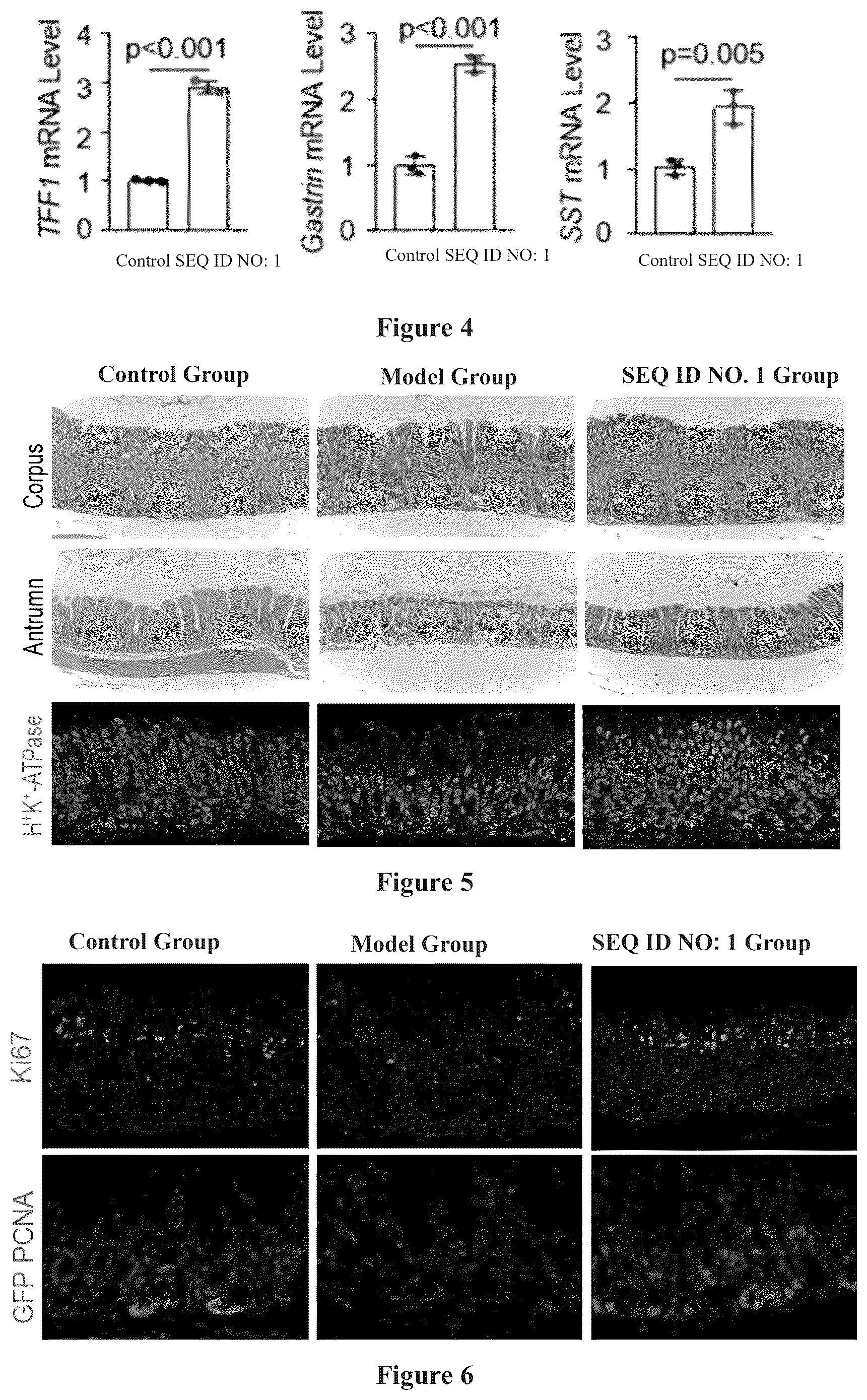 Patent US12351651 Figure 3 – Polypeptide for repairing mucosal damage or skin wound and use thereof