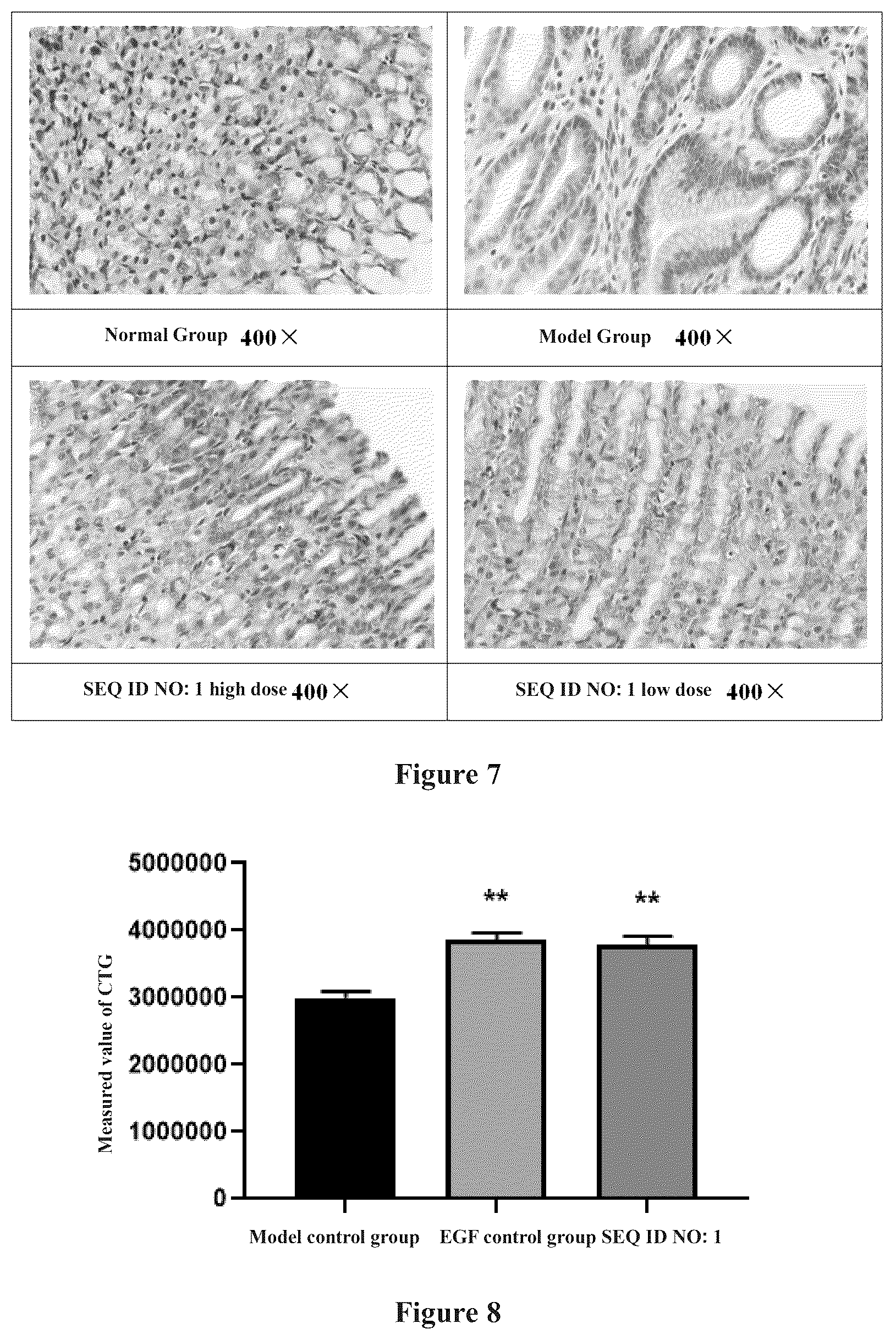 Patent US12351651 Figure 4 – Polypeptide for repairing mucosal damage or skin wound and use thereof