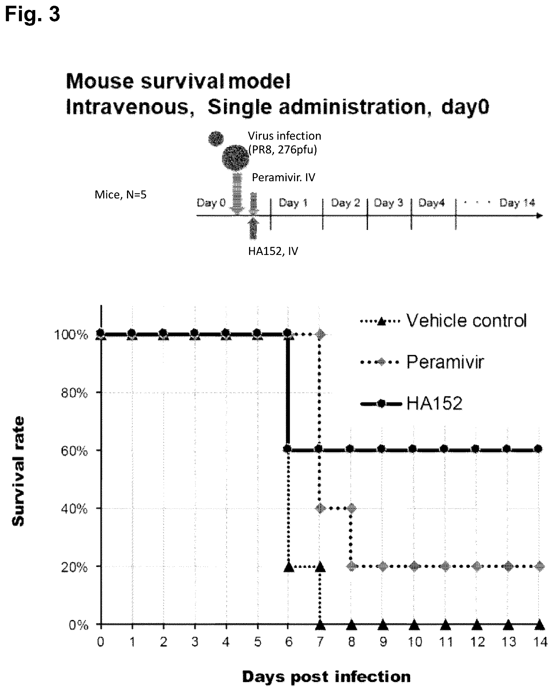 Patent US12351652 Figure 5 – Hemagglutinin-binding peptide