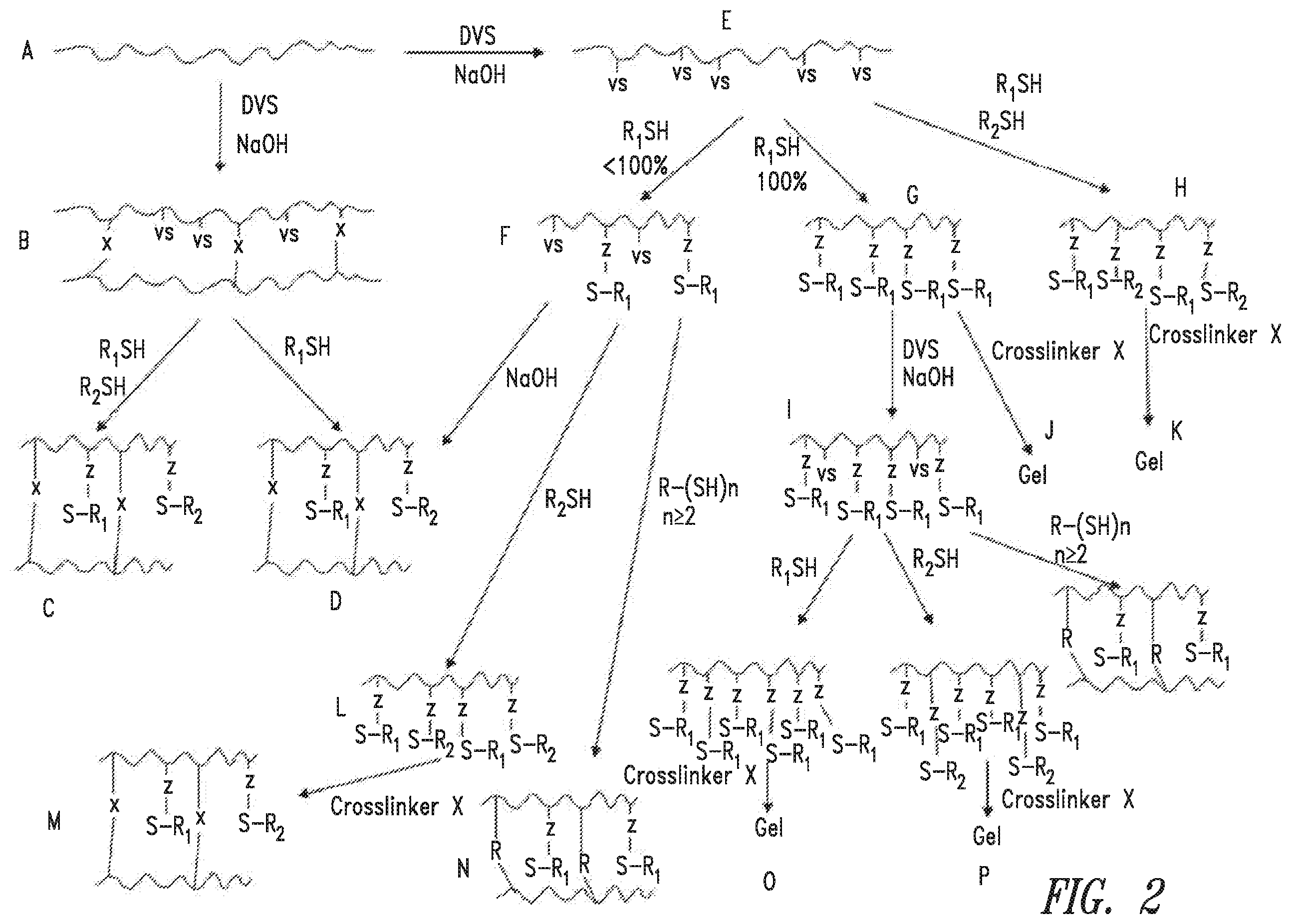 Patent US12351656 Figure 2 – Functionalized and crosslinked polymers