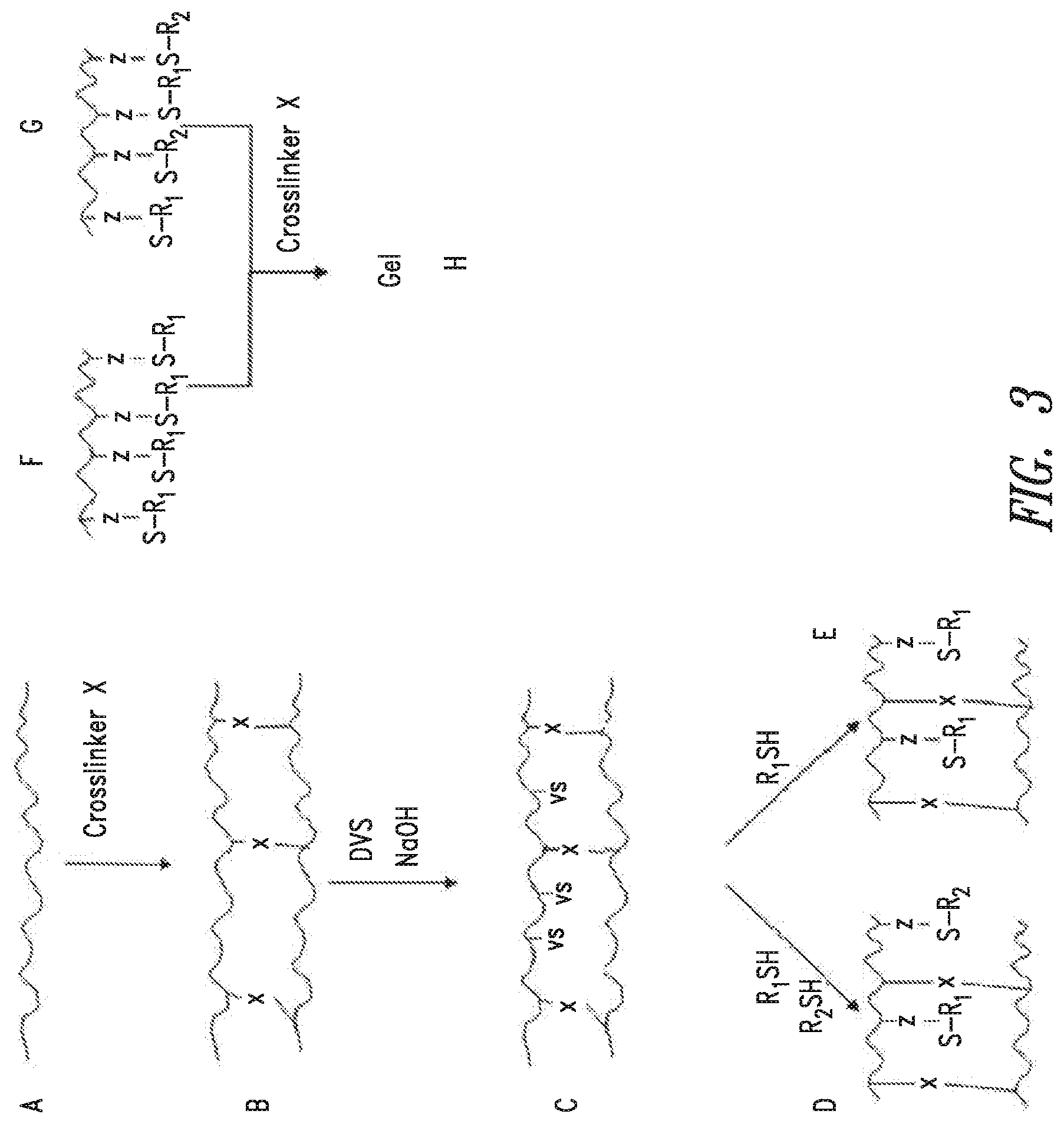 Patent US12351656 Figure 3 – Functionalized and crosslinked polymers