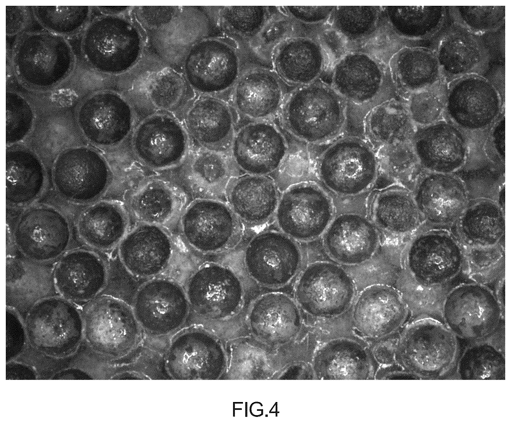 Patent US12351695 Figure 4 – Composite material