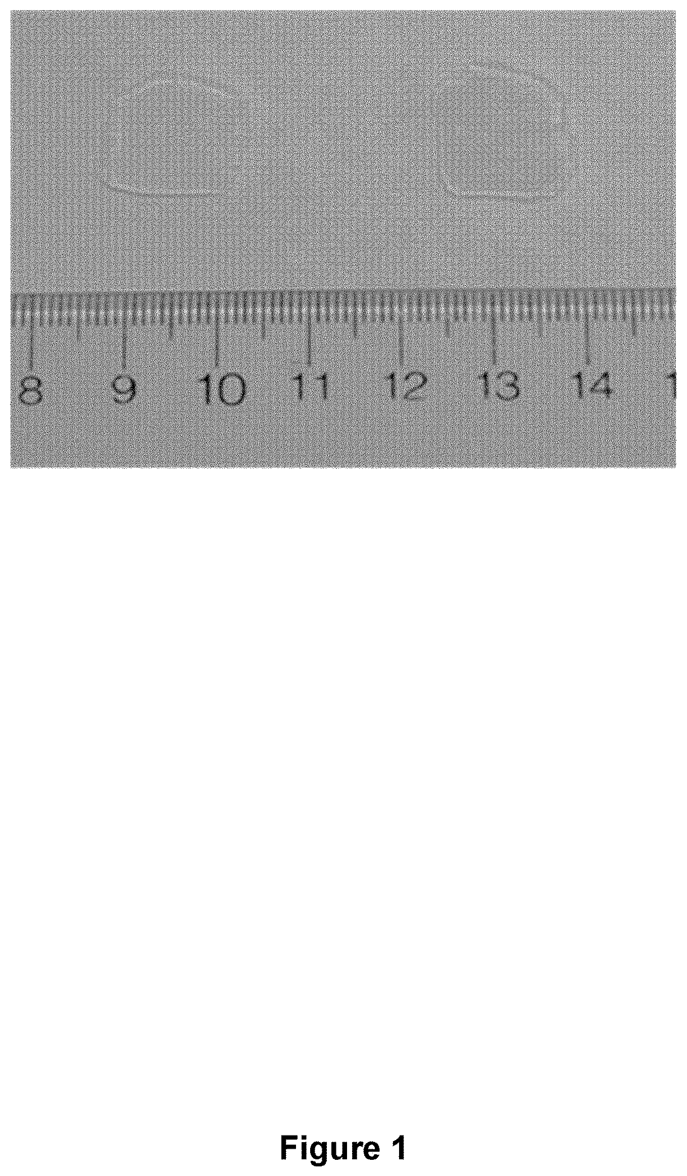 Patent US12351696 Figure 1 – Copolymer-silica hybrid aerogels and methods for the preparation thereof