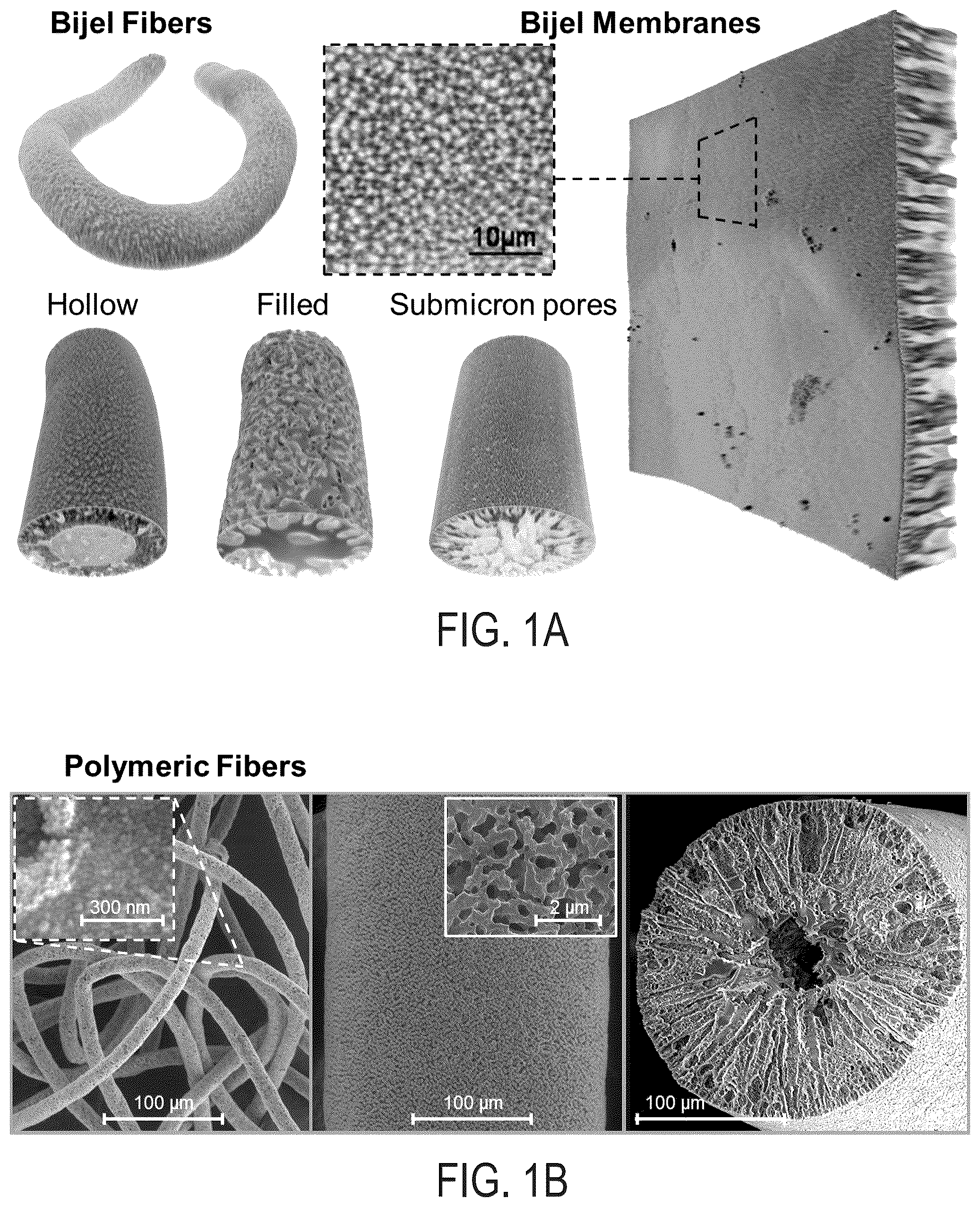 Patent US12351712 Figure 1 – Bijels and methods of making the same