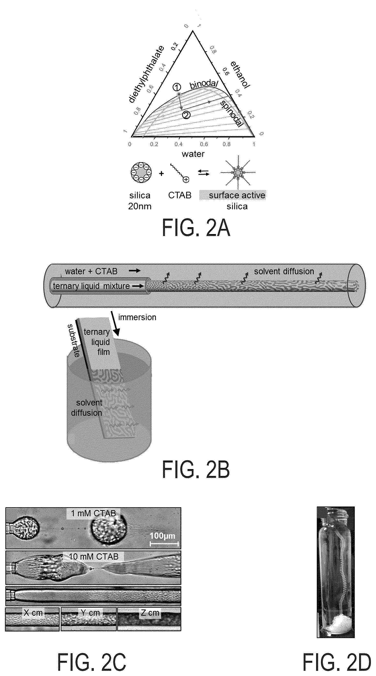 Patent US12351712 Figure 2 – Bijels and methods of making the same