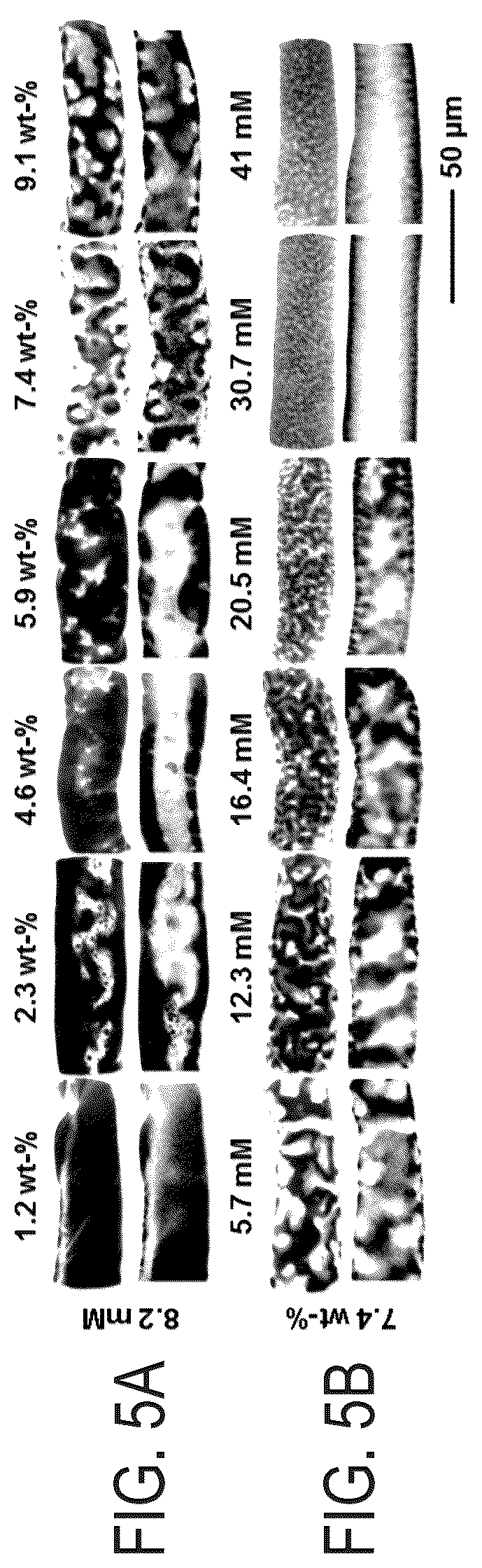 Patent US12351712 Figure 5 – Bijels and methods of making the same