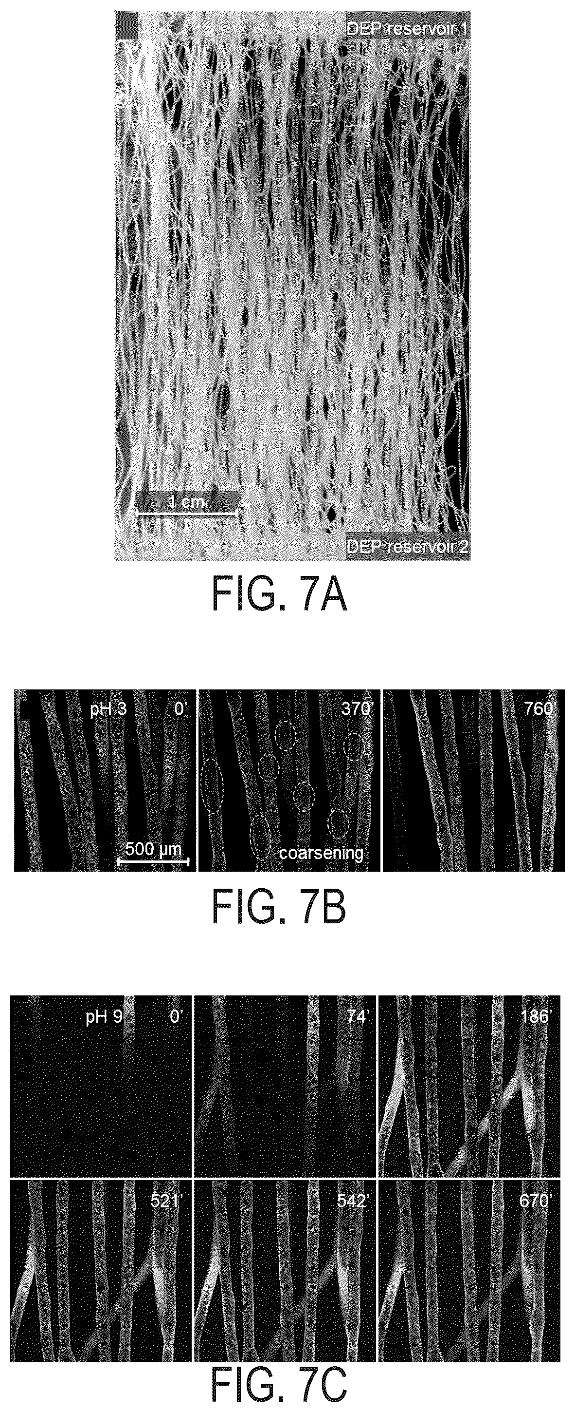 Patent US12351712 Figure 7 – Bijels and methods of making the same
