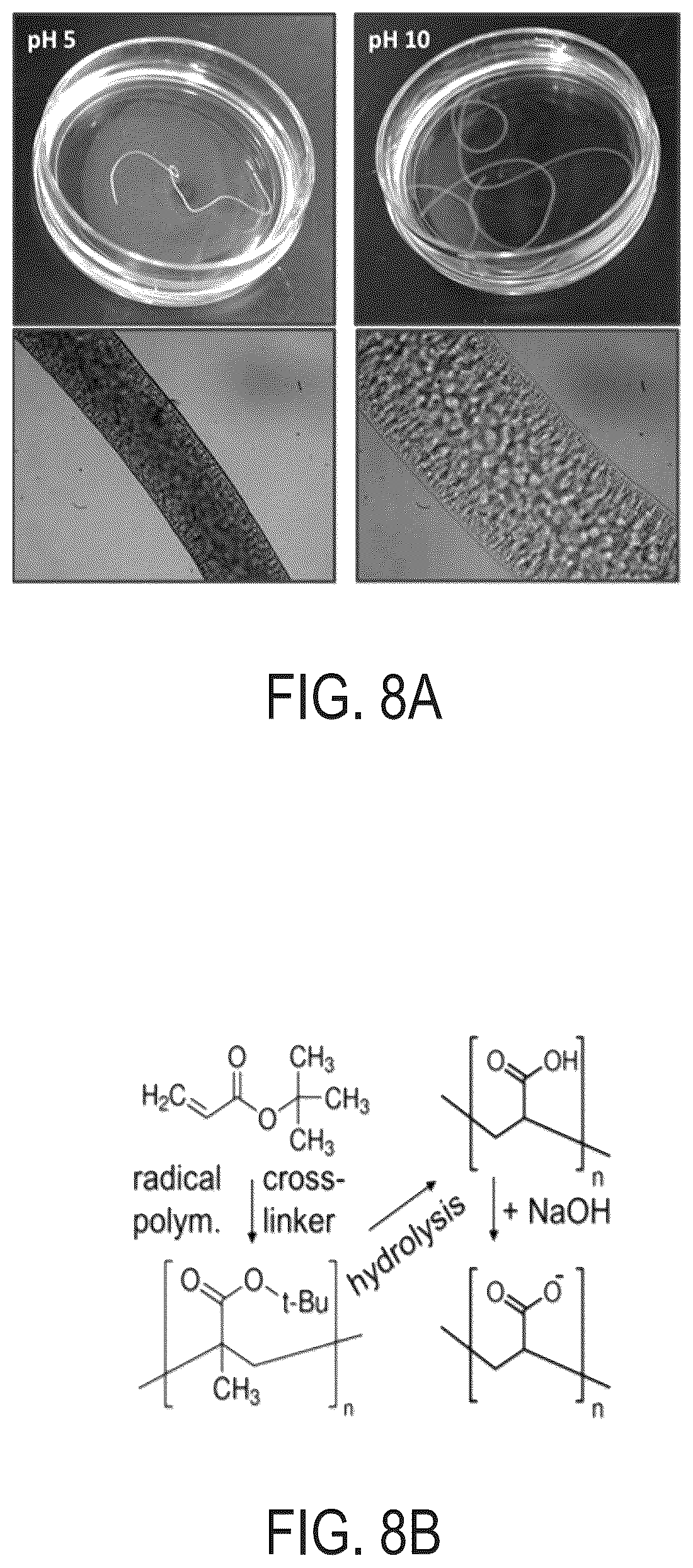 Patent US12351712 Figure 8 – Bijels and methods of making the same