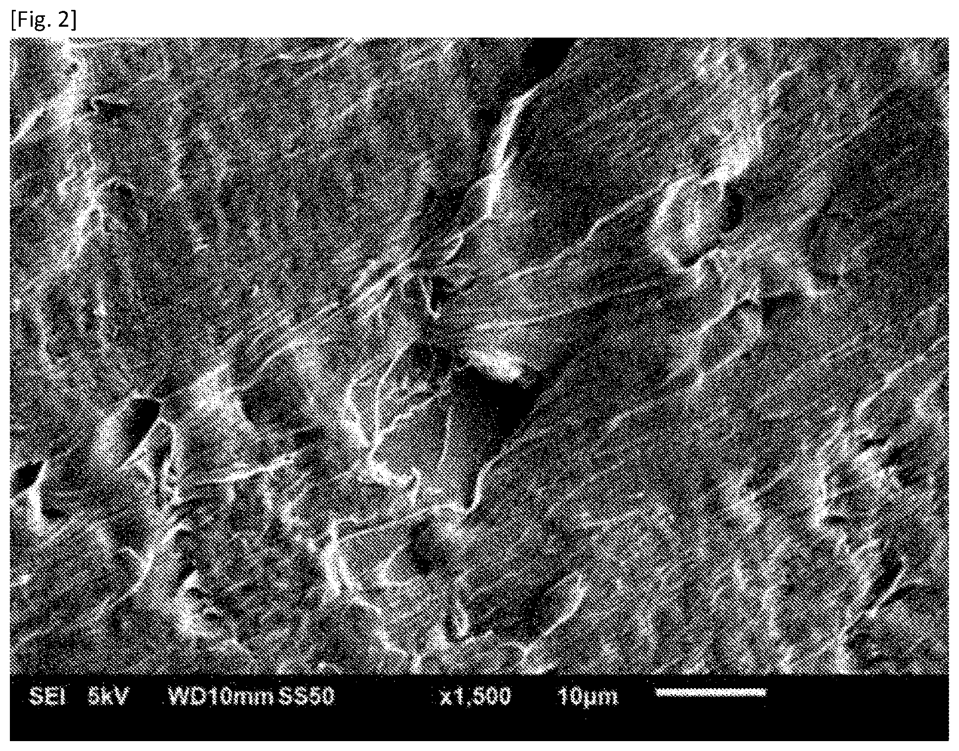 Patent US12351752 Figure 2 – Fluoropolymer and liquid crystal polymer blend