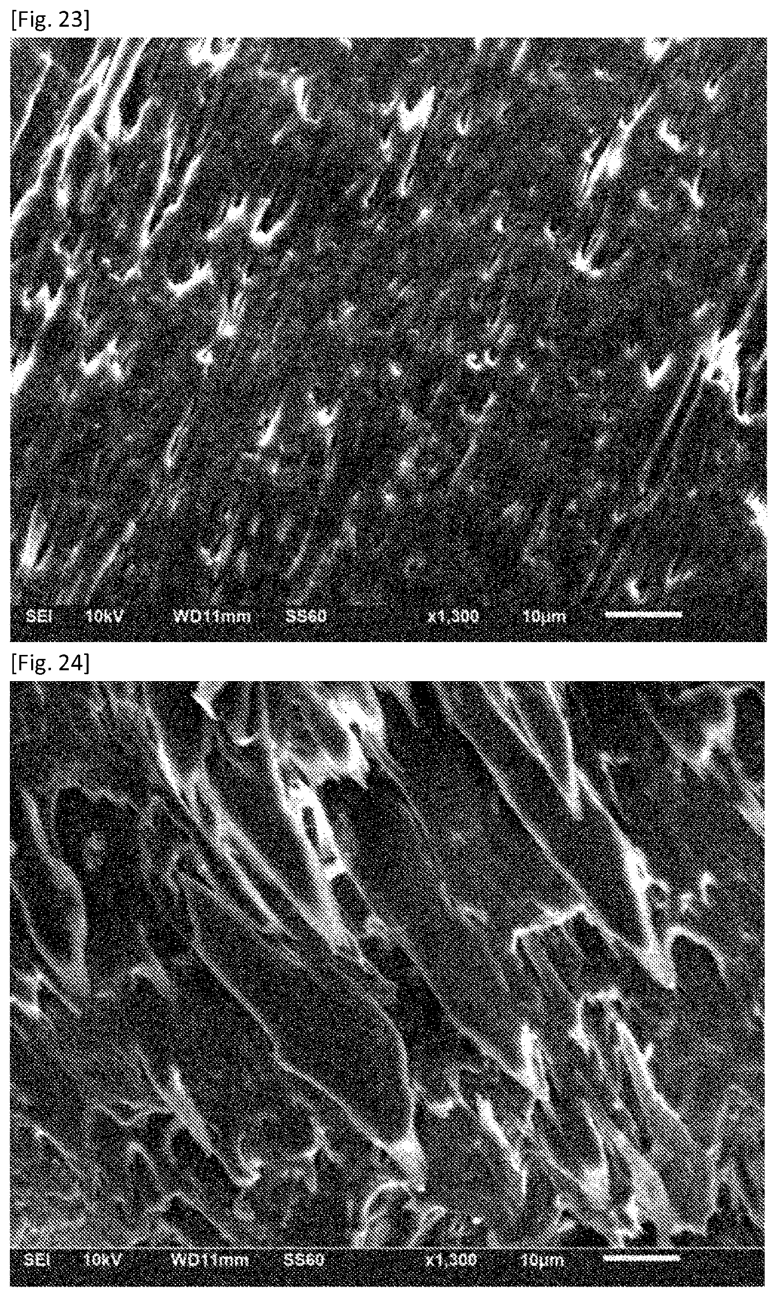 Patent US12351752 Figure 13 – Fluoropolymer and liquid crystal polymer blend