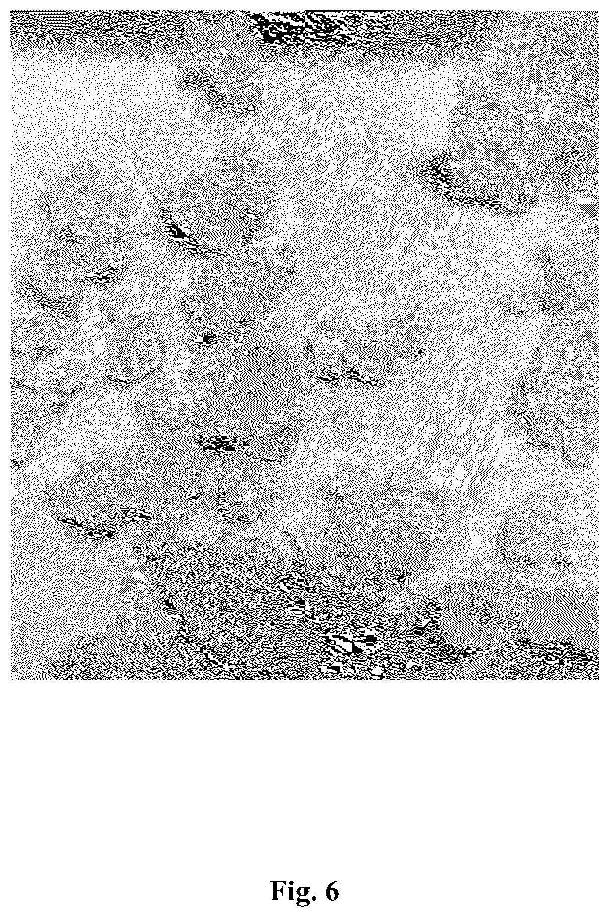 Patent US12351758 Figure 6 – Method of hydraulic fracturing utilizing a hydraulic fracturing fluid with a single phase liquid proppant