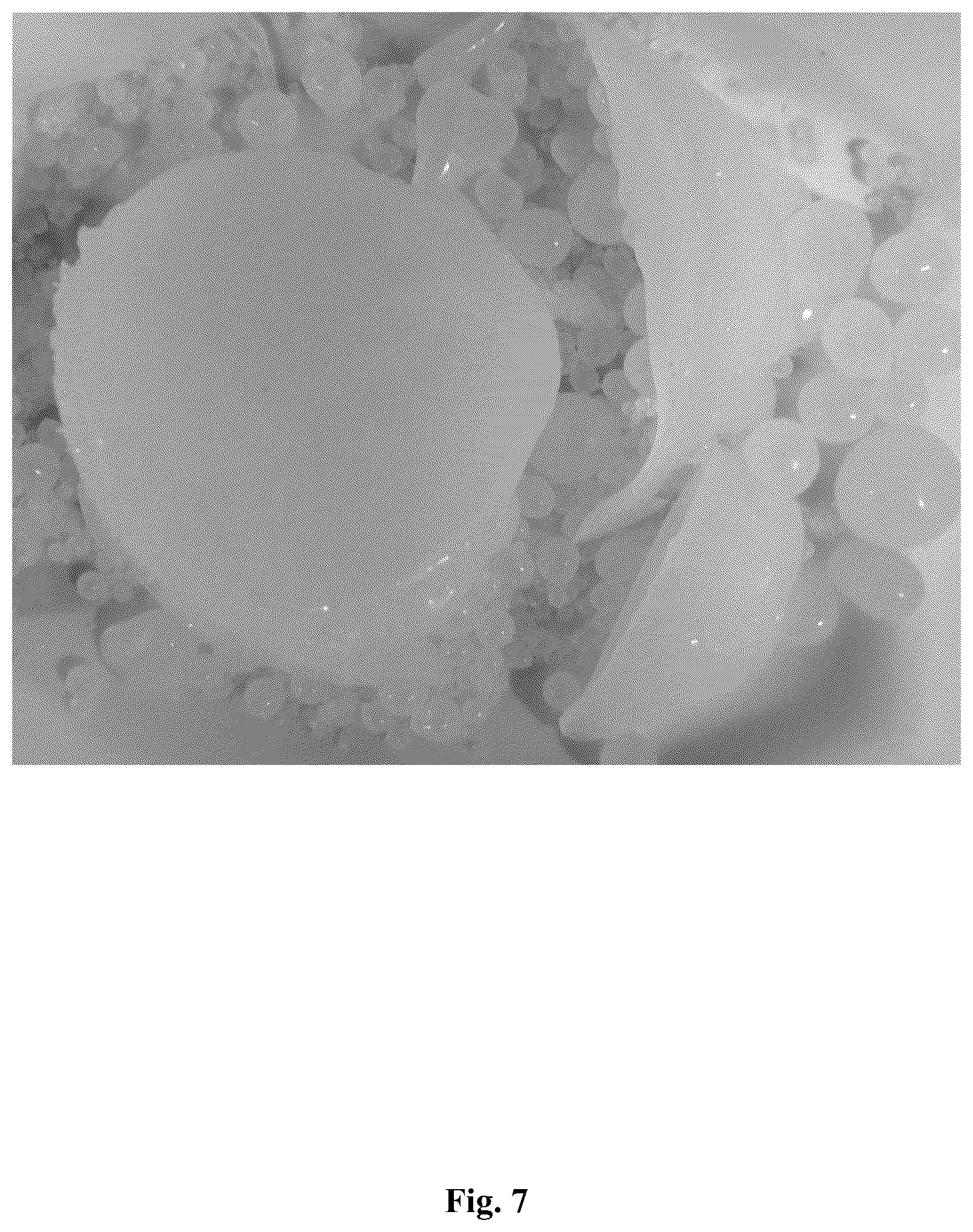 Patent US12351758 Figure 7 – Method of hydraulic fracturing utilizing a hydraulic fracturing fluid with a single phase liquid proppant