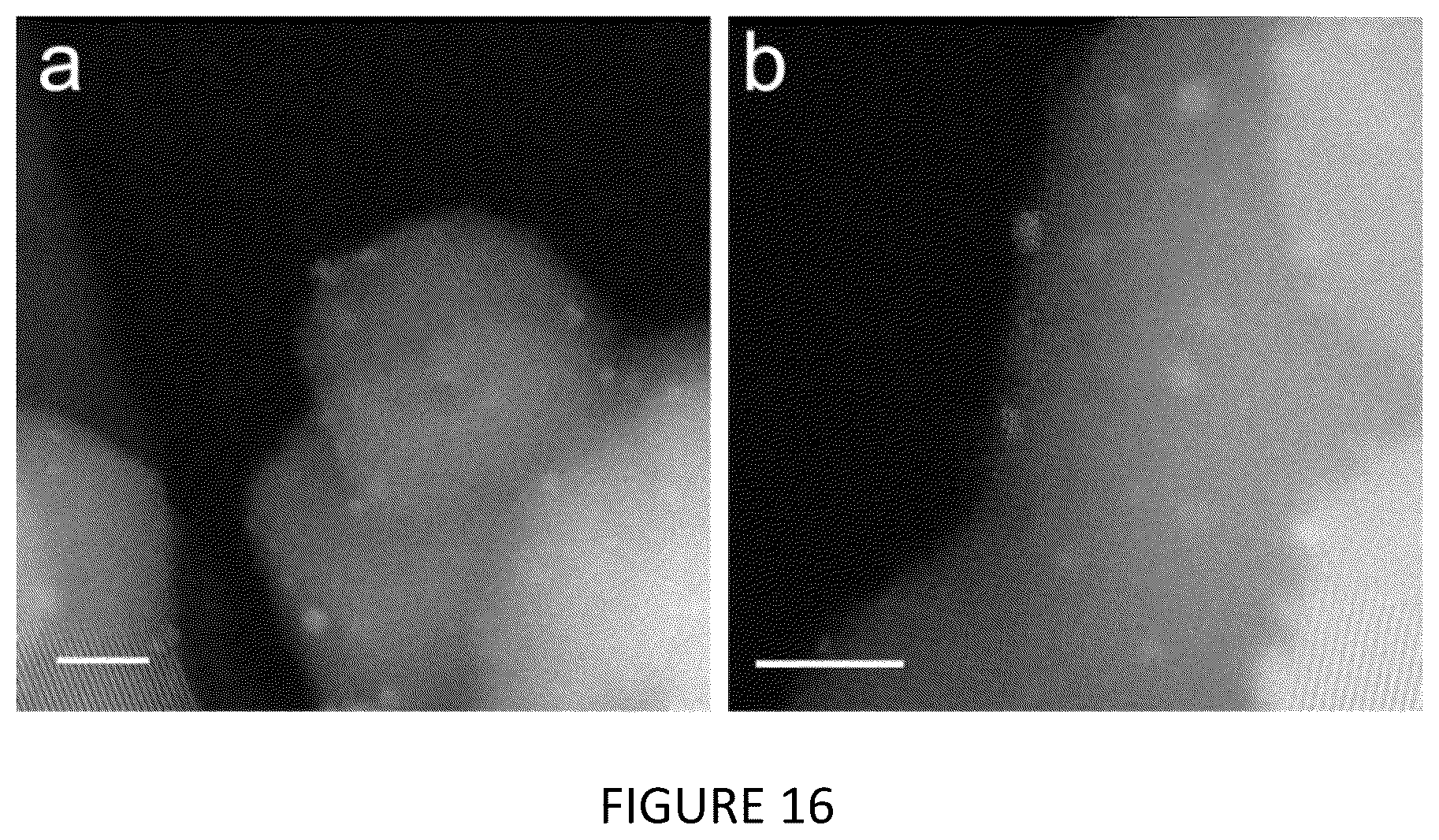 Patent US12351761 Figure 20 – Catalytic process