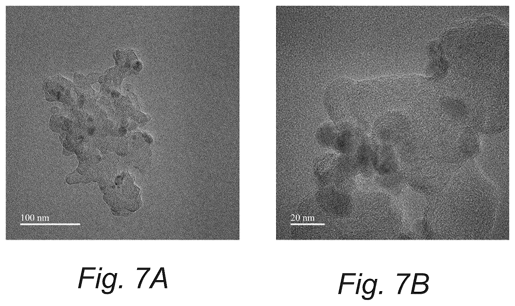 Patent US12351767 Figure 11 – Robust palladium hydride catalyst for electrocatalytic formate formation with high co tolerance