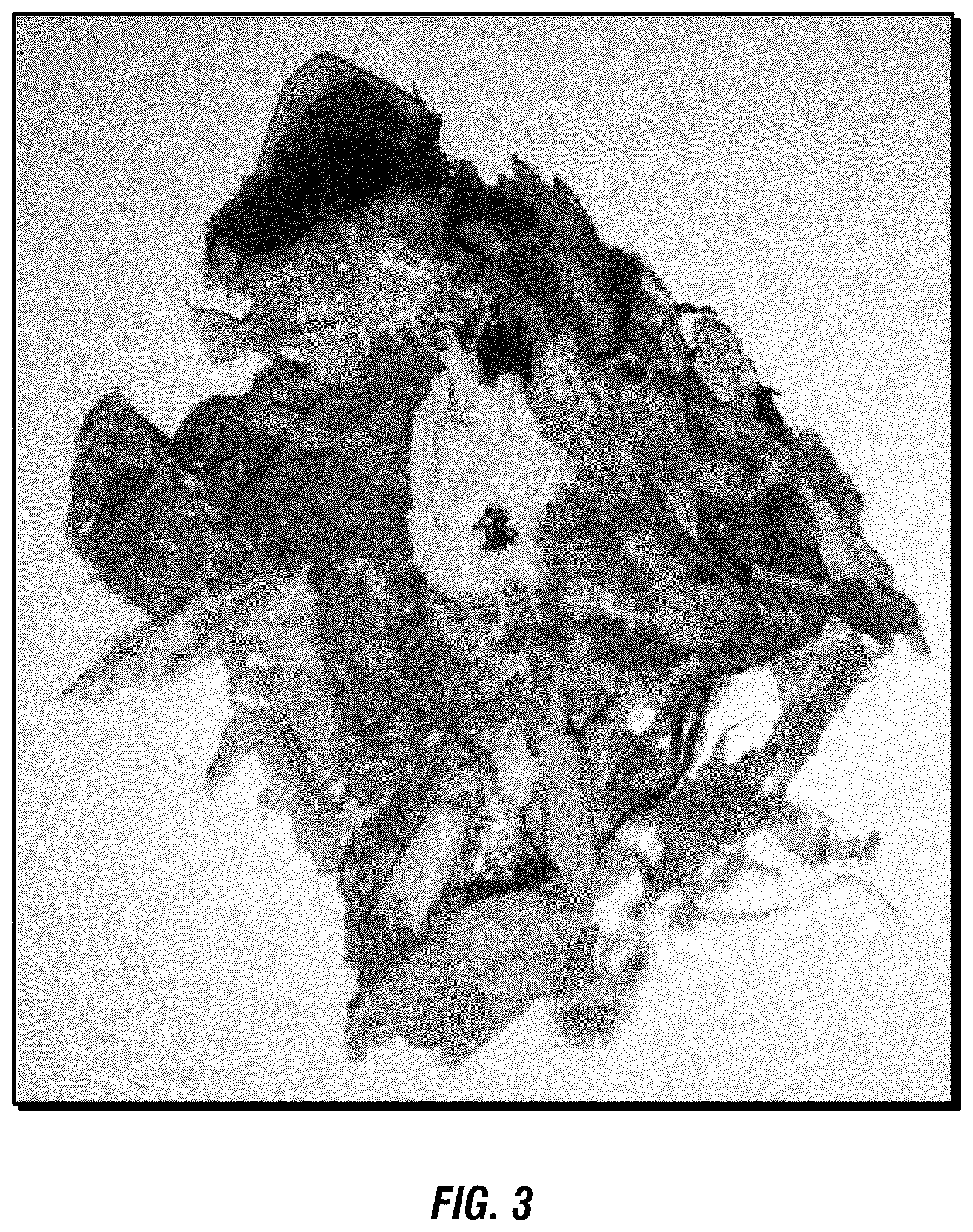 Patent US12351771 Figure 3 – Process and system for producing engineered fuel