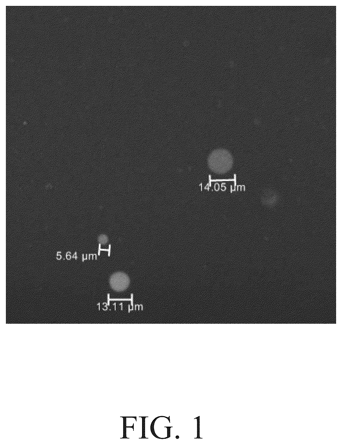 Patent US12351782 Figure 1 – Liquid treatment compositions comprising delivery particles based on plant rosin material