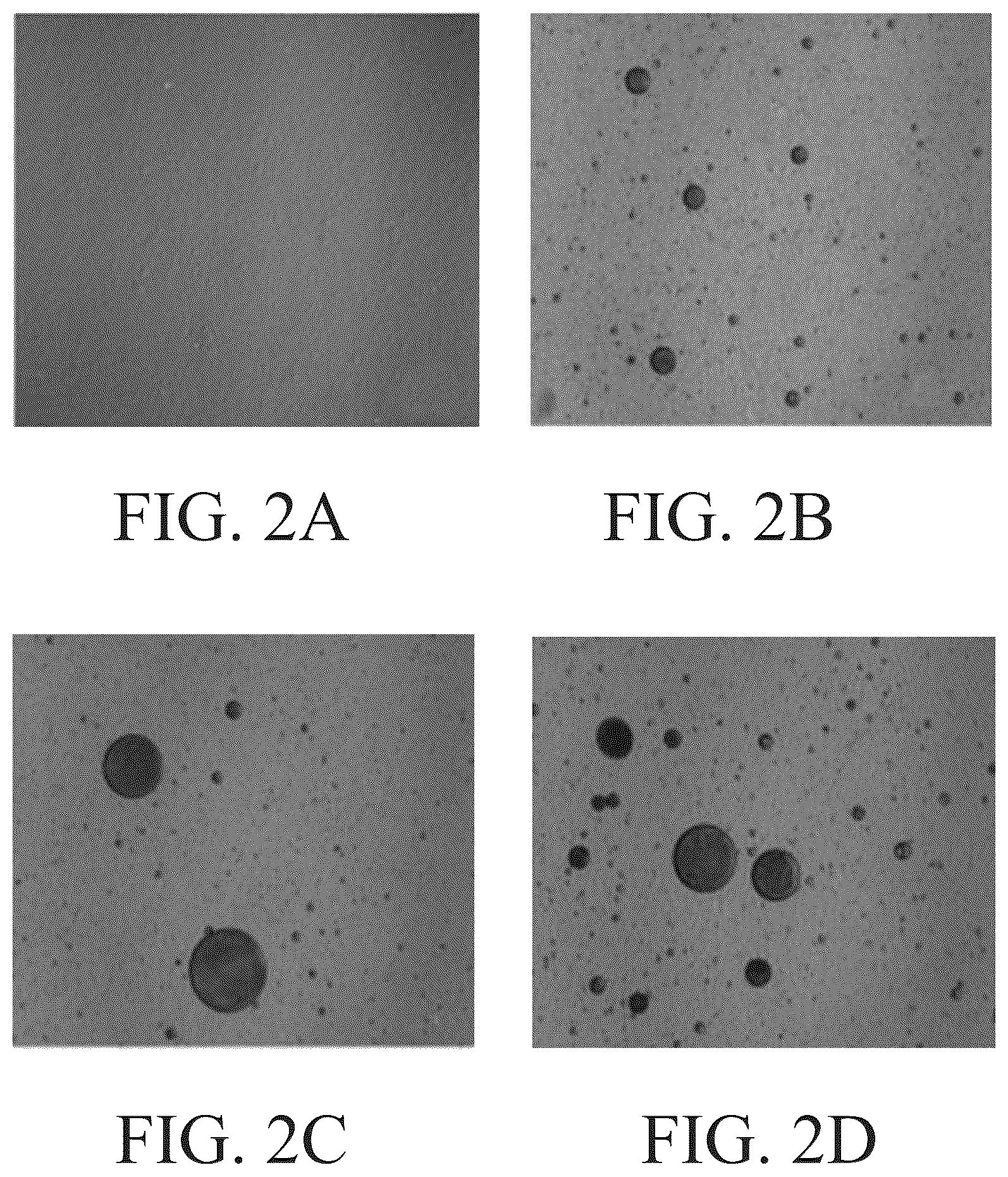 Patent US12351782 Figure 2 – Liquid treatment compositions comprising delivery particles based on plant rosin material