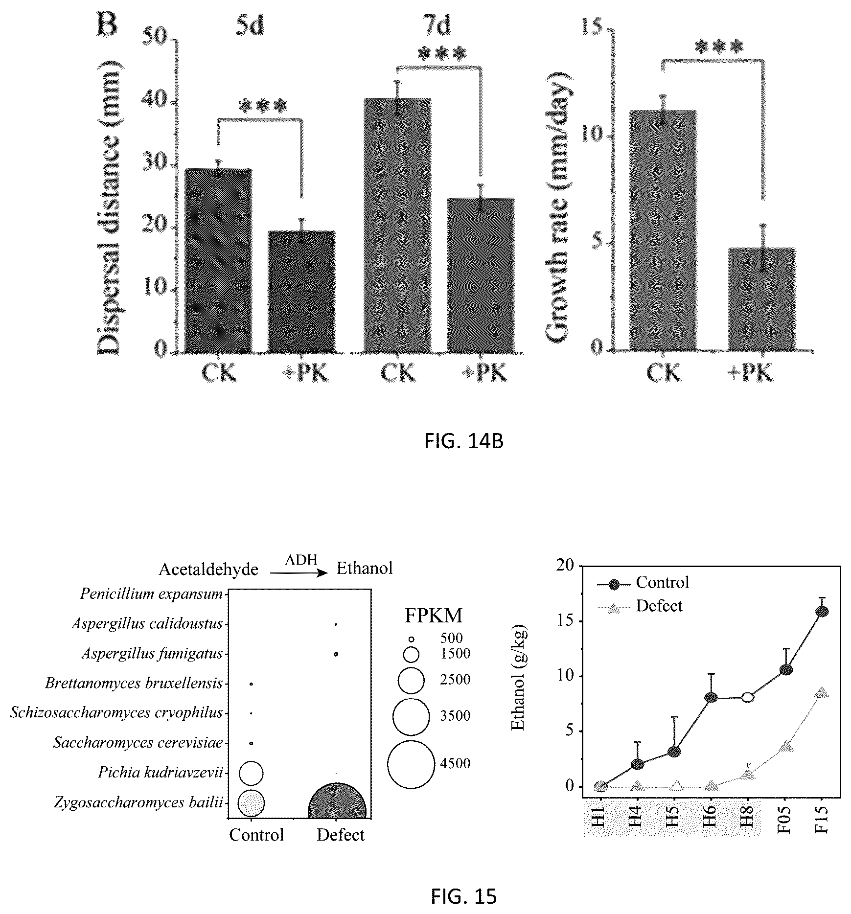 Patent US12351785 Figure 14 – Pichia kudriavzevii and multifunctional complex microbial inoculant and use thereof