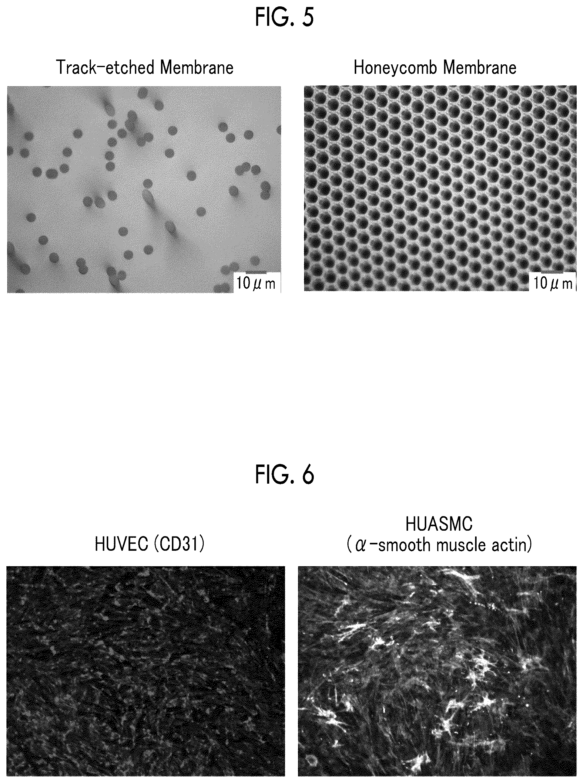 Patent US12351789 Figure 5 – Method for producing cell laminate