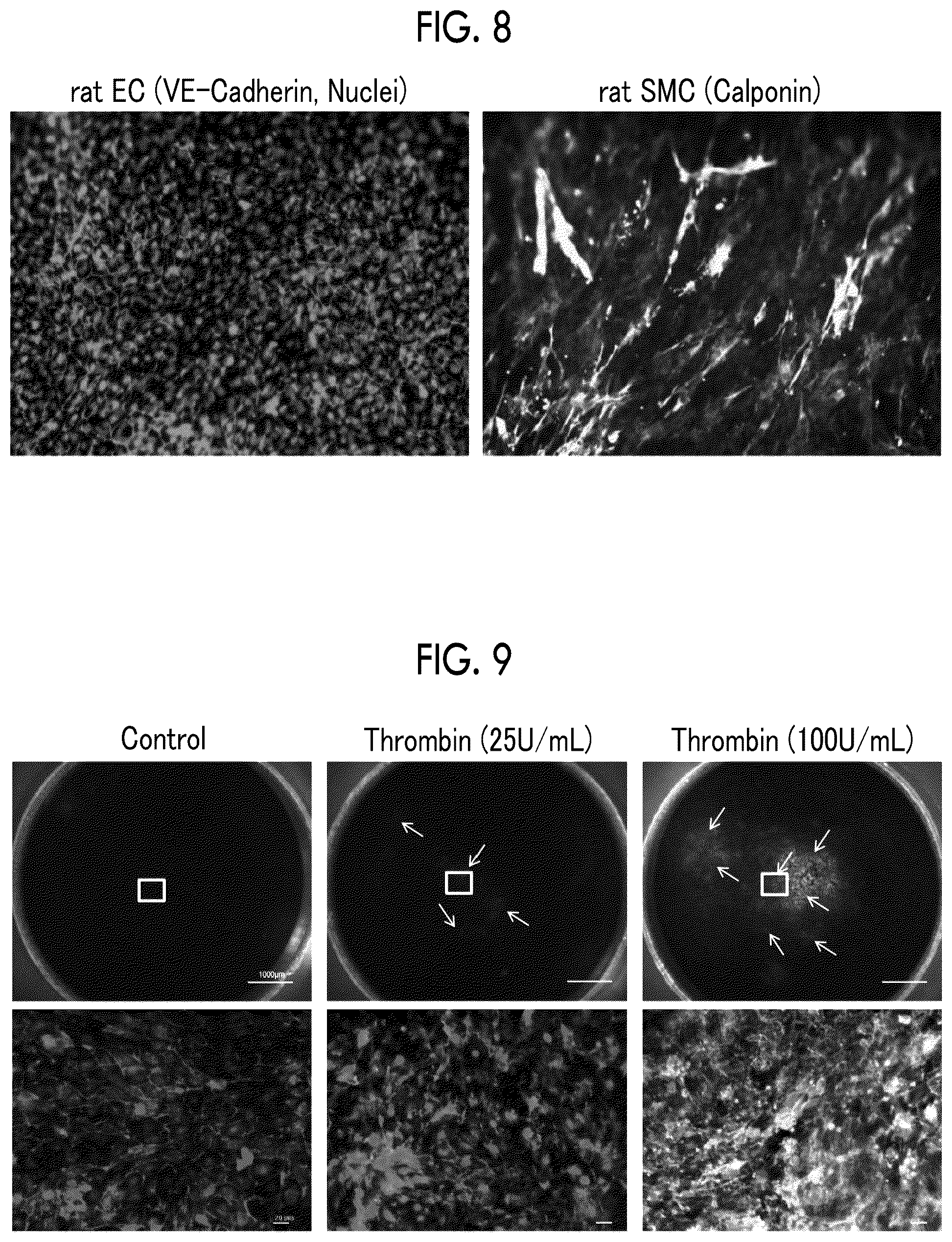 Patent US12351789 Figure 7 – Method for producing cell laminate