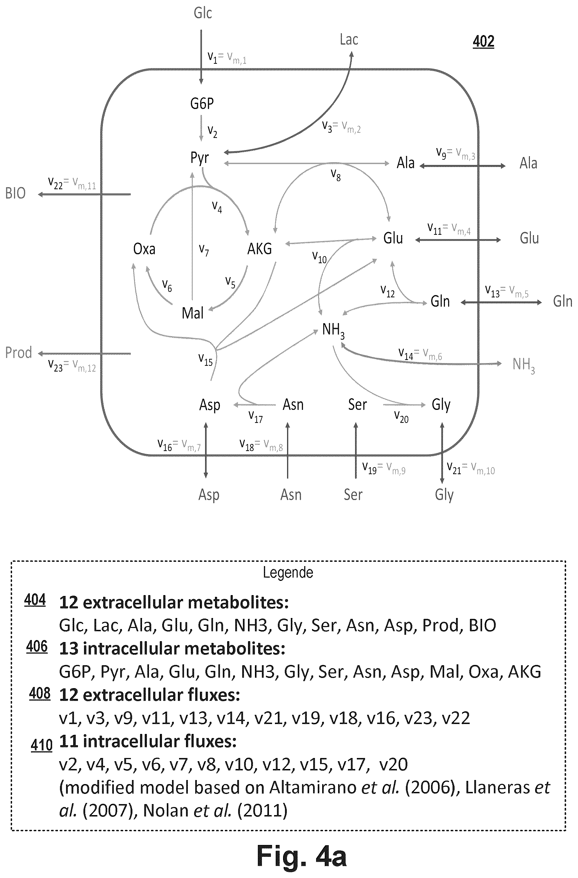 Patent US12351791 Figure 3 – Predicting the metabolic condition of a cell culture