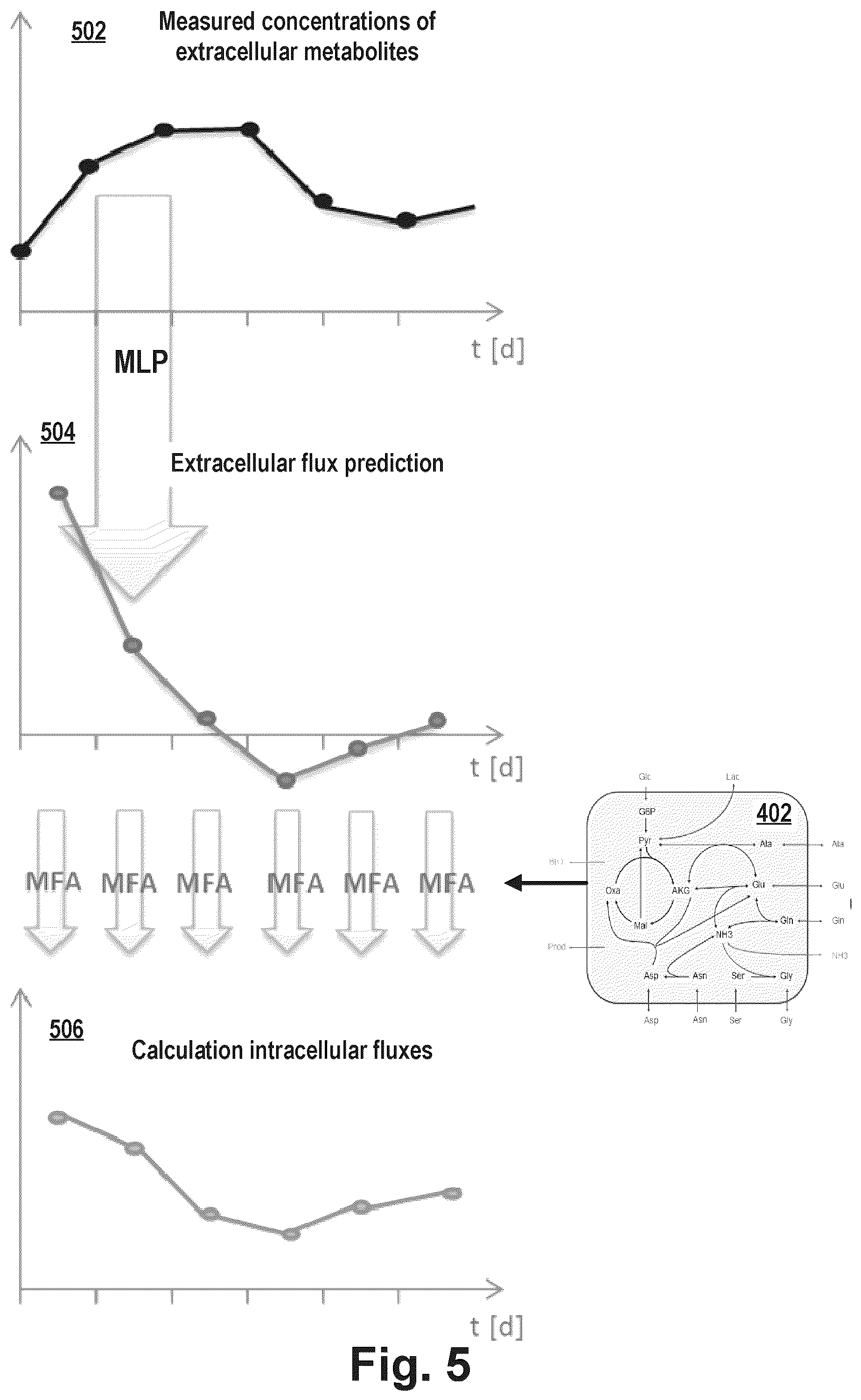 Patent US12351791 Figure 5 – Predicting the metabolic condition of a cell culture