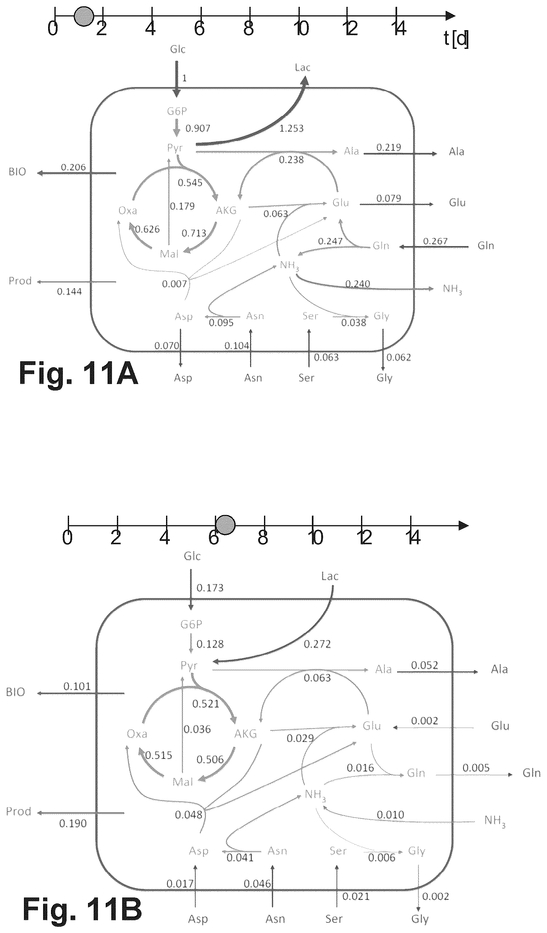Patent US12351791 Figure 11 – Predicting the metabolic condition of a cell culture