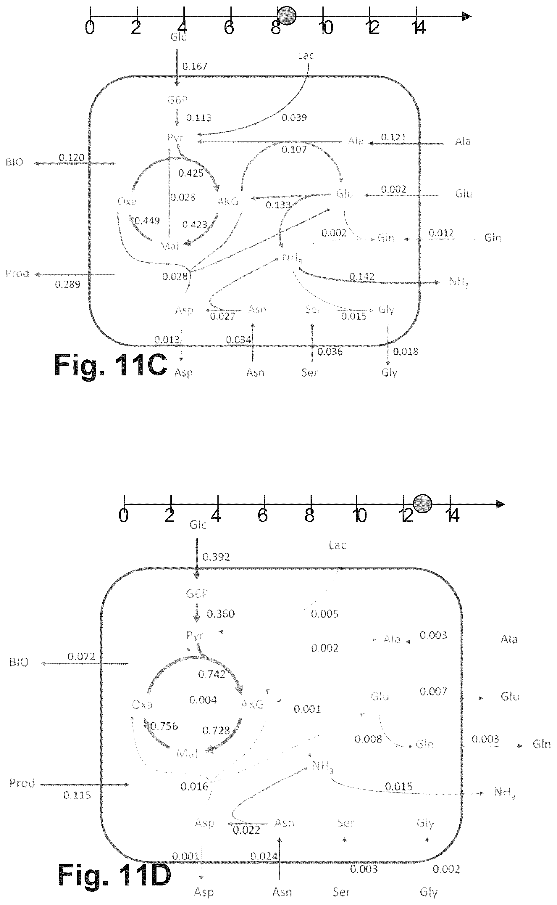 Patent US12351791 Figure 12 – Predicting the metabolic condition of a cell culture