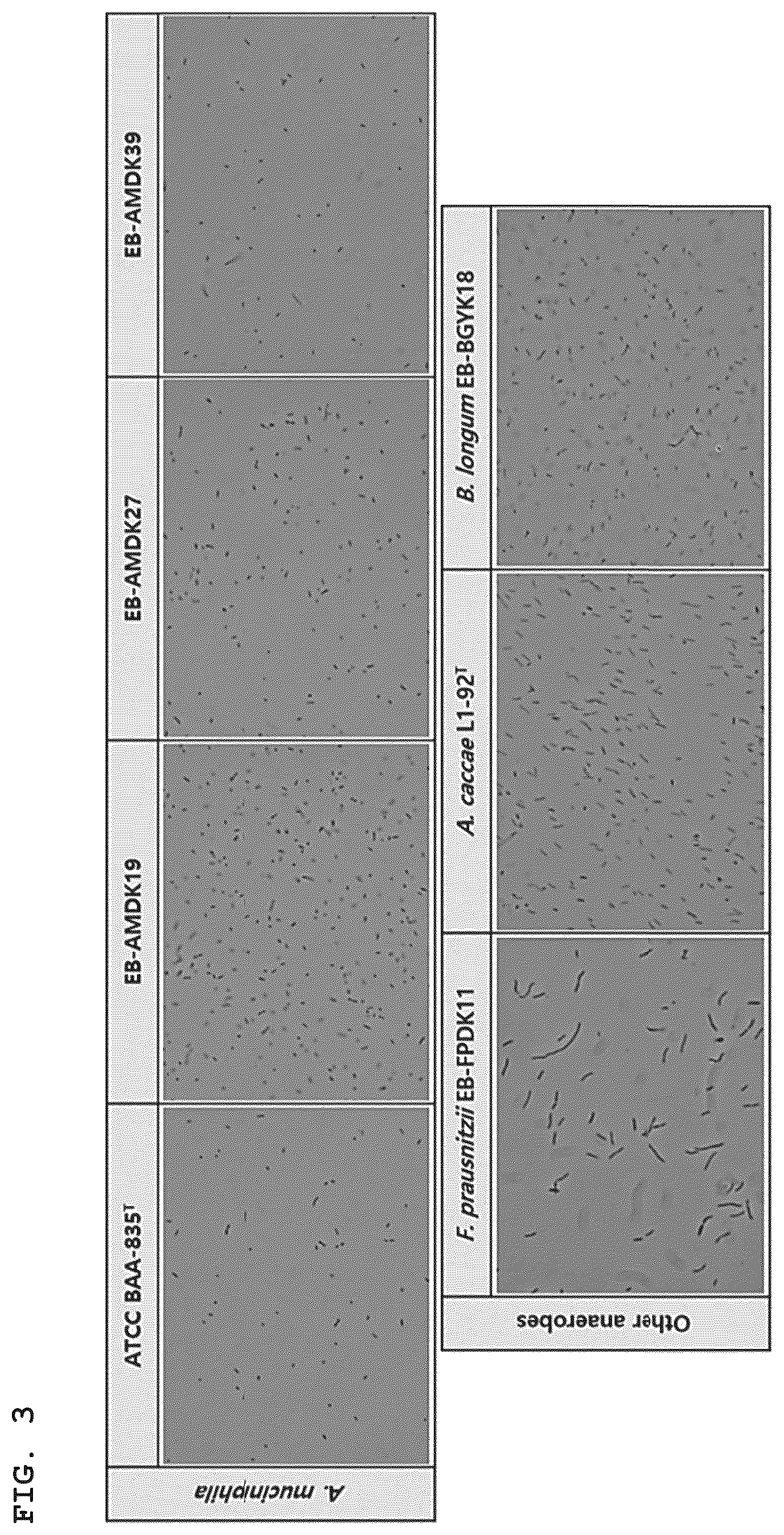 Patent US12351794 Figure 2 – Medium supplement for high-yield industrial culture of fastidious anaerobes and medium composition containing the same