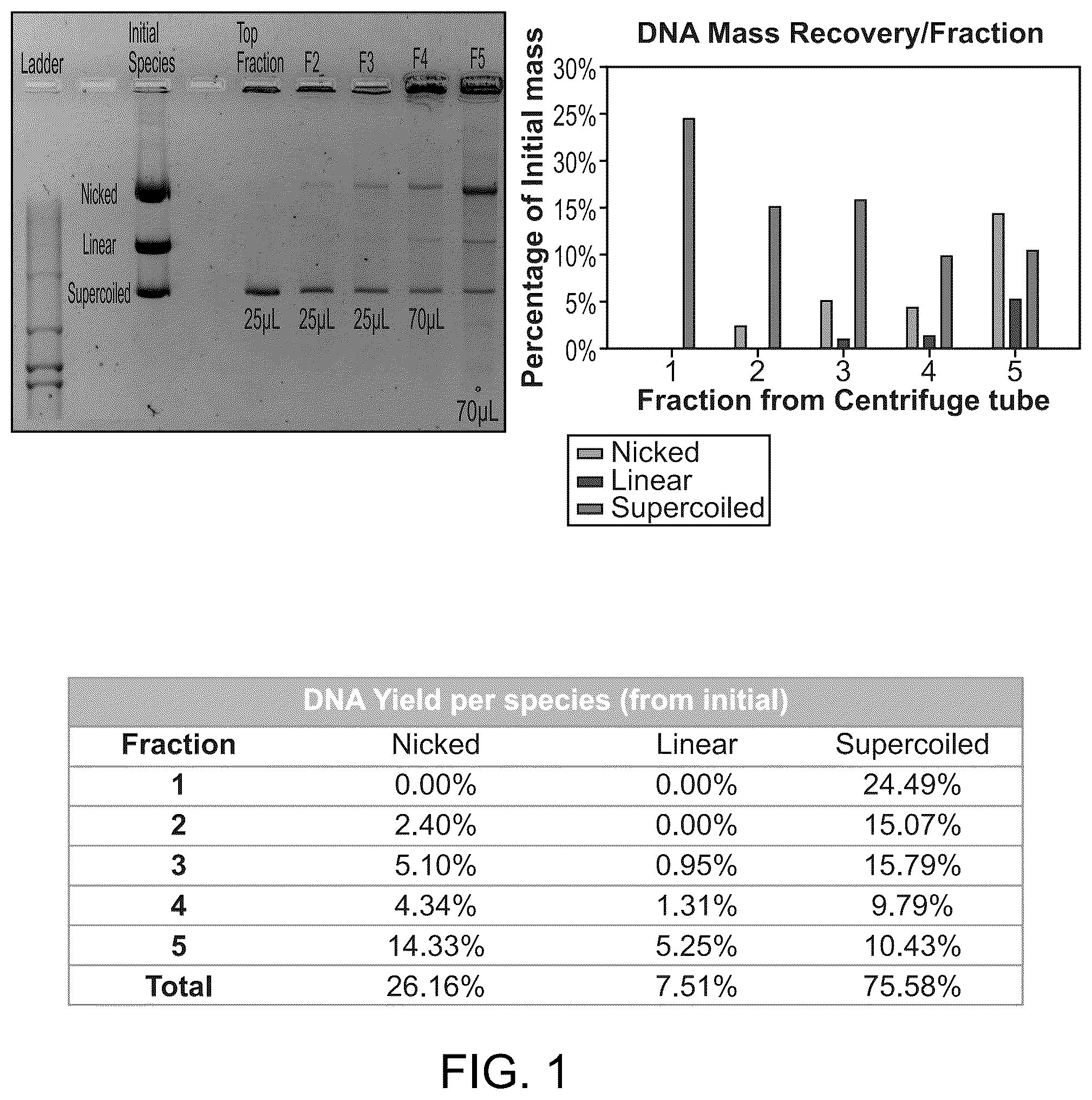 Patent US12351796 Figure 1 – Methods for rapid separation and purification of DNA topological forms