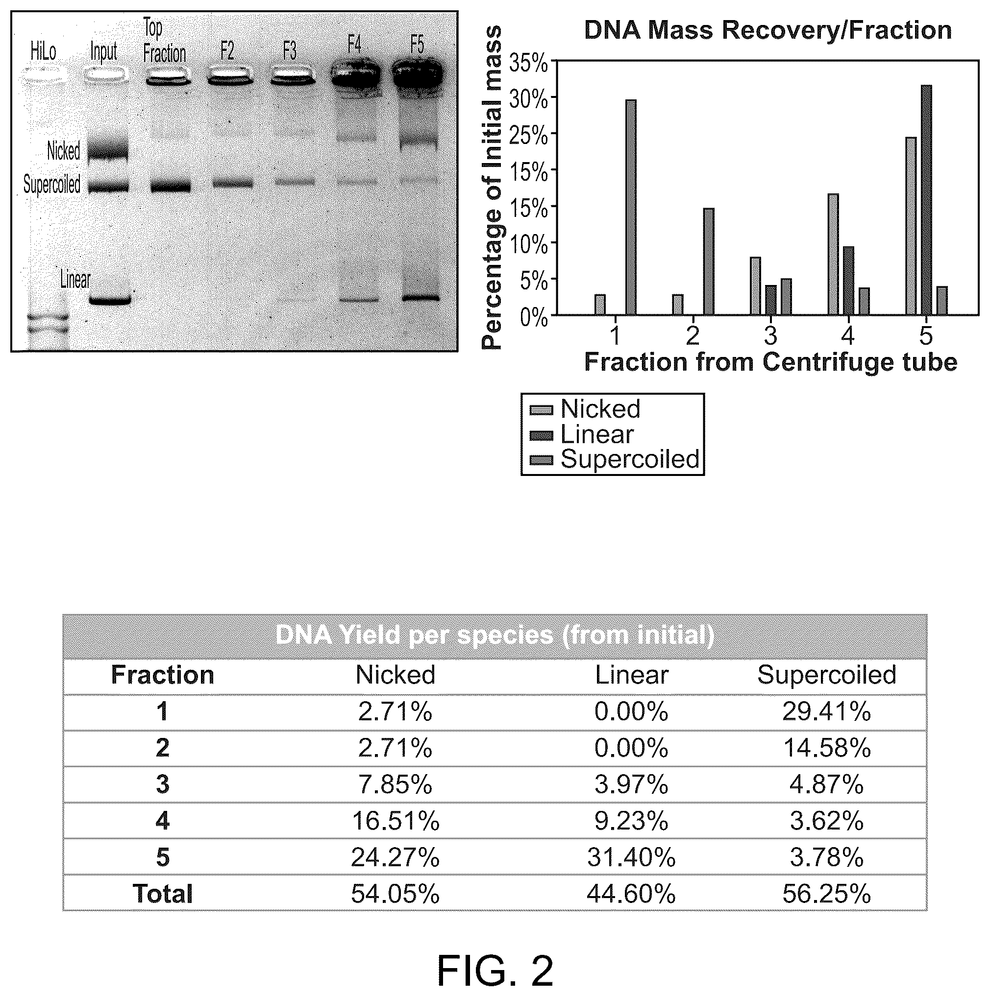 Patent US12351796 Figure 2 – Methods for rapid separation and purification of DNA topological forms
