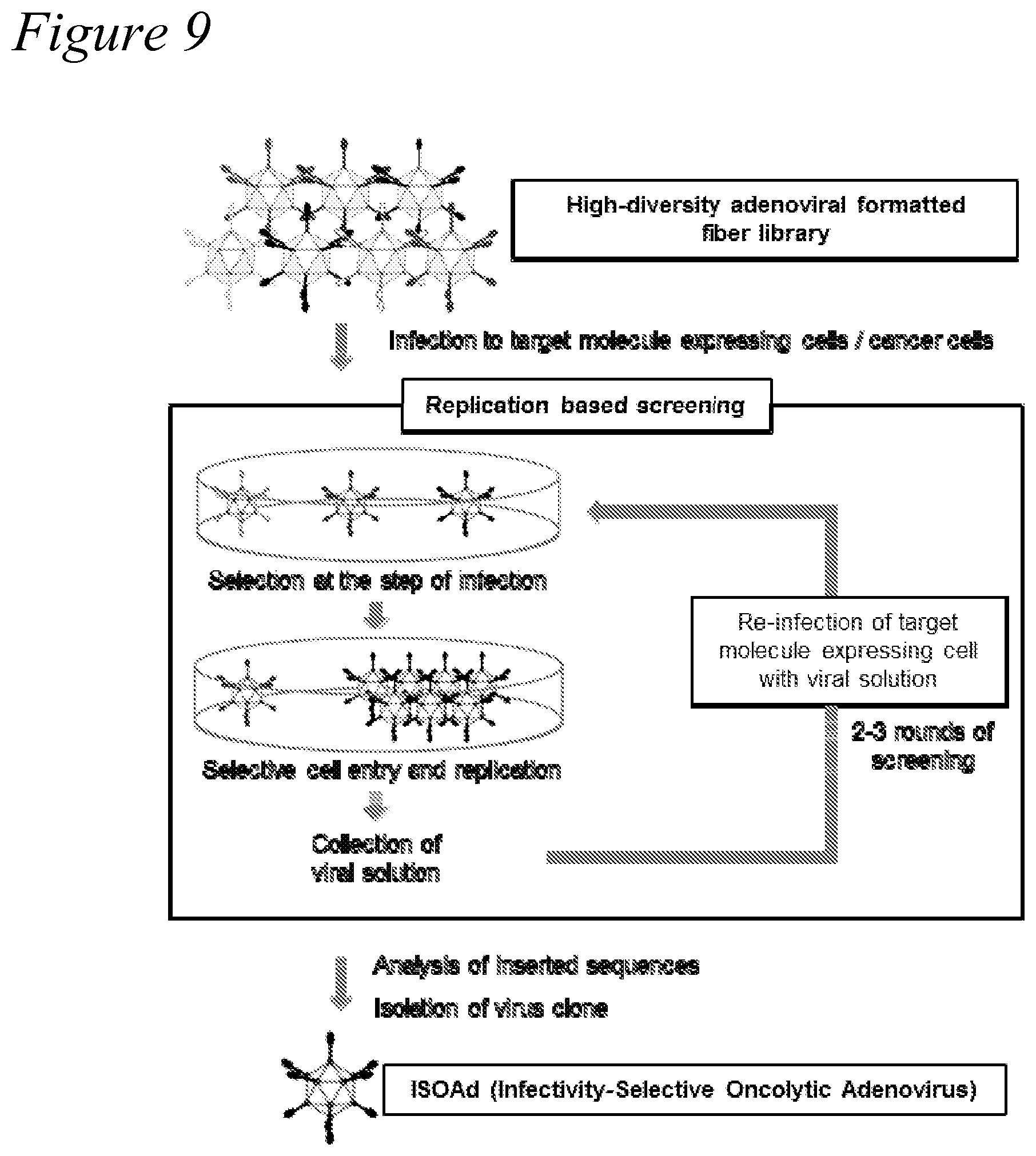Patent US12351797 Figure 10 – Adenovirus library and methods
