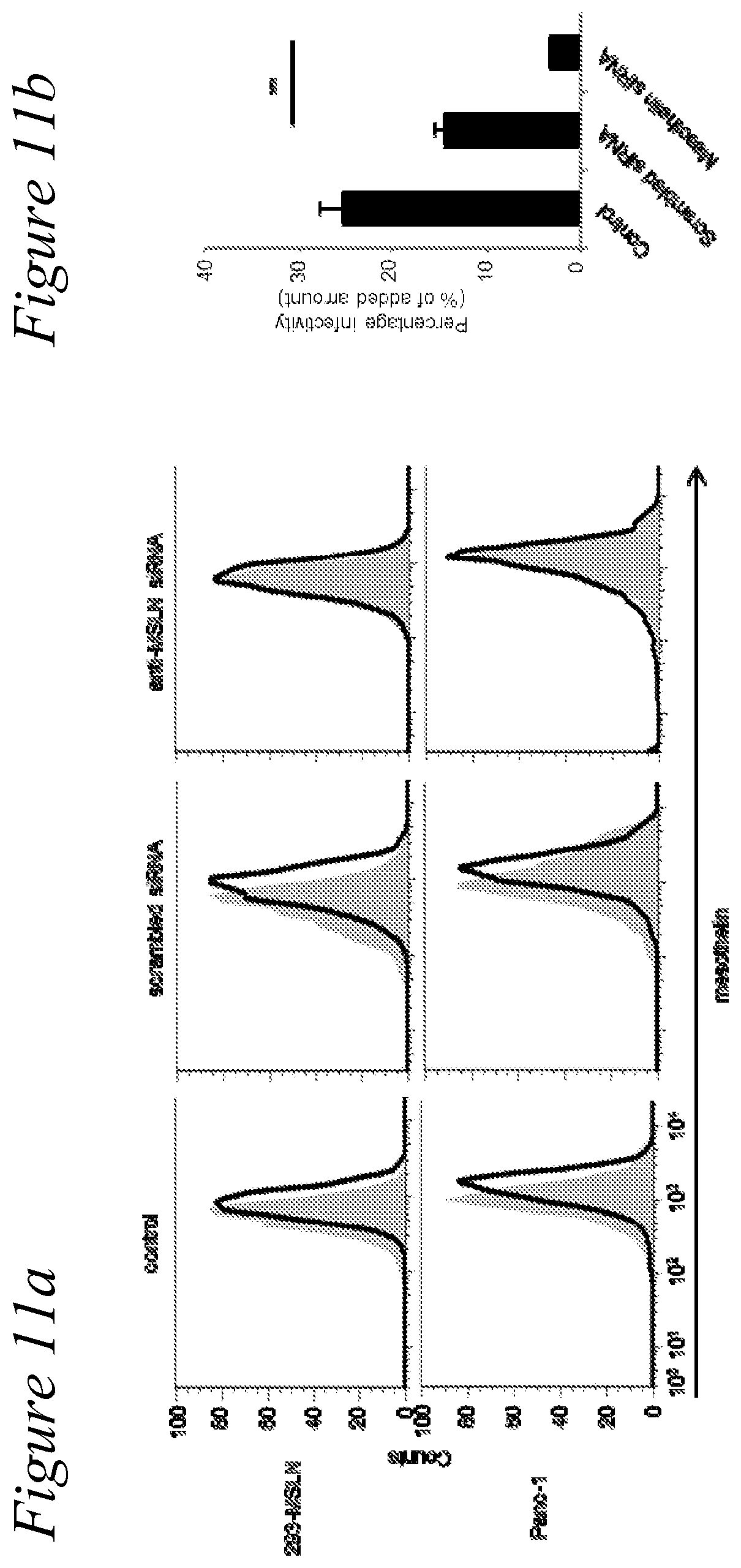 Patent US12351797 Figure 12 – Adenovirus library and methods
