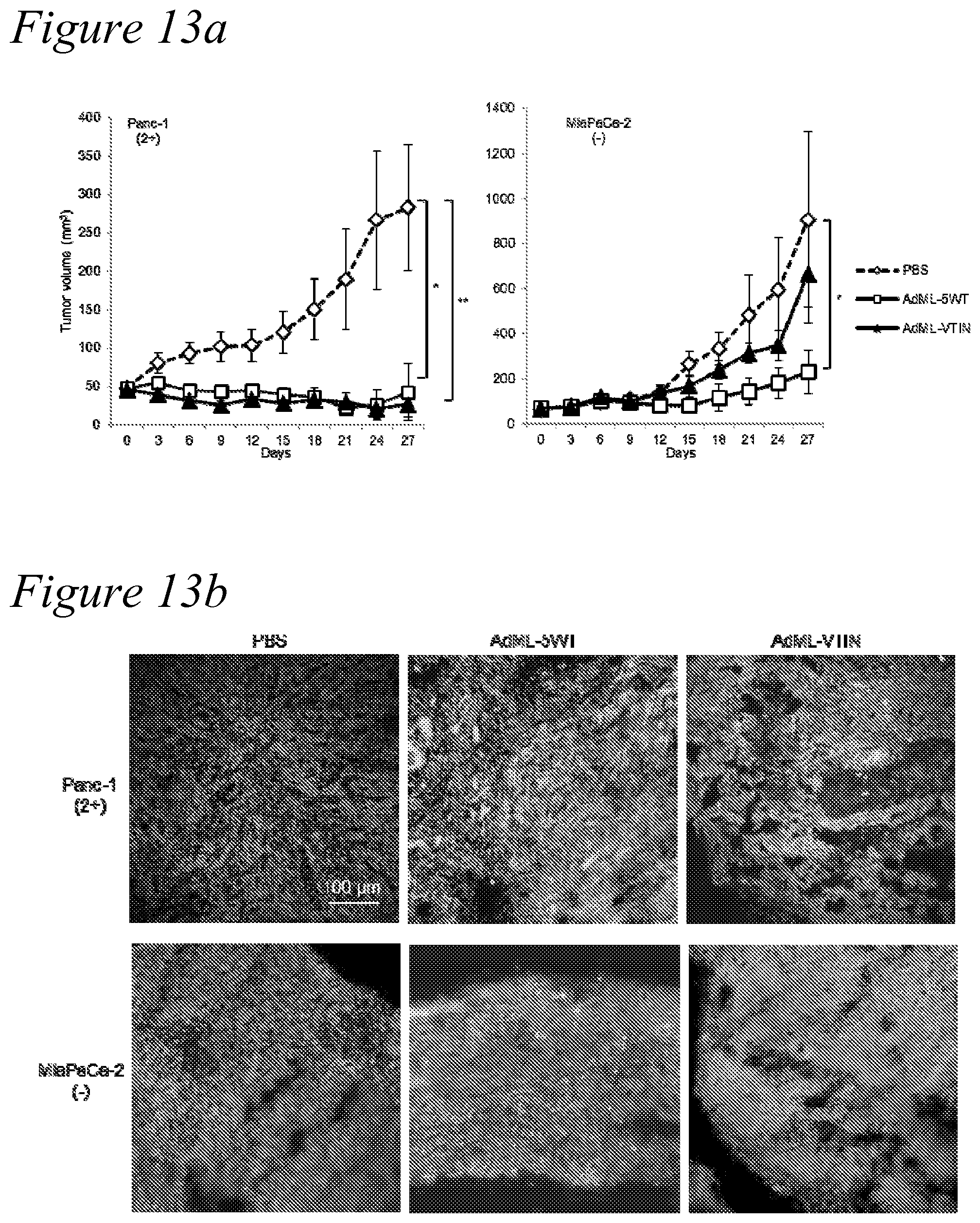 Patent US12351797 Figure 14 – Adenovirus library and methods
