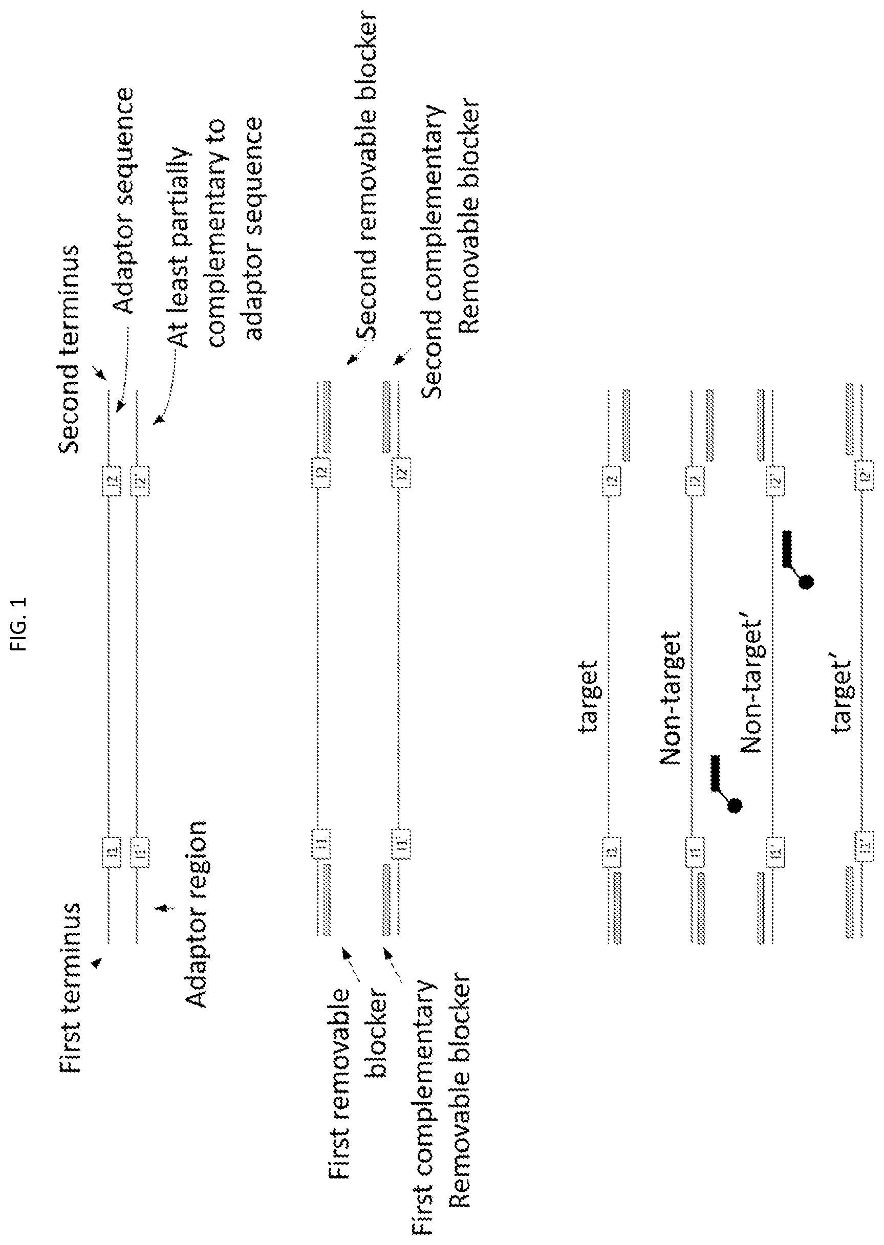 Patent US12351798 Figure 1 – Methods for depletion of high-copy sequences in multiplexed whole genome sequencing libraries