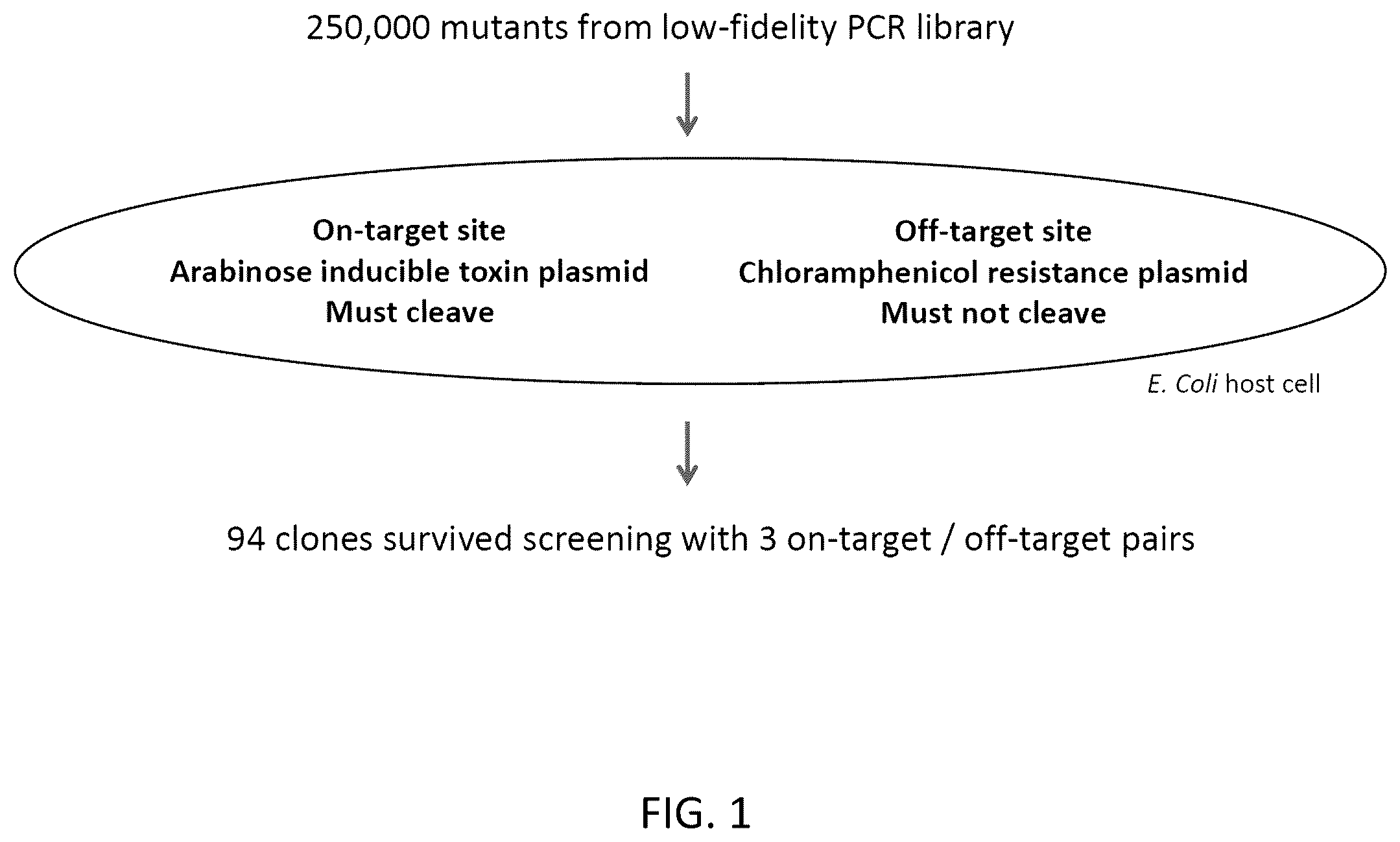 Patent US12351799 Figure 1 – S. pyogenes CAS9 mutant genes and polypeptides encoded by same