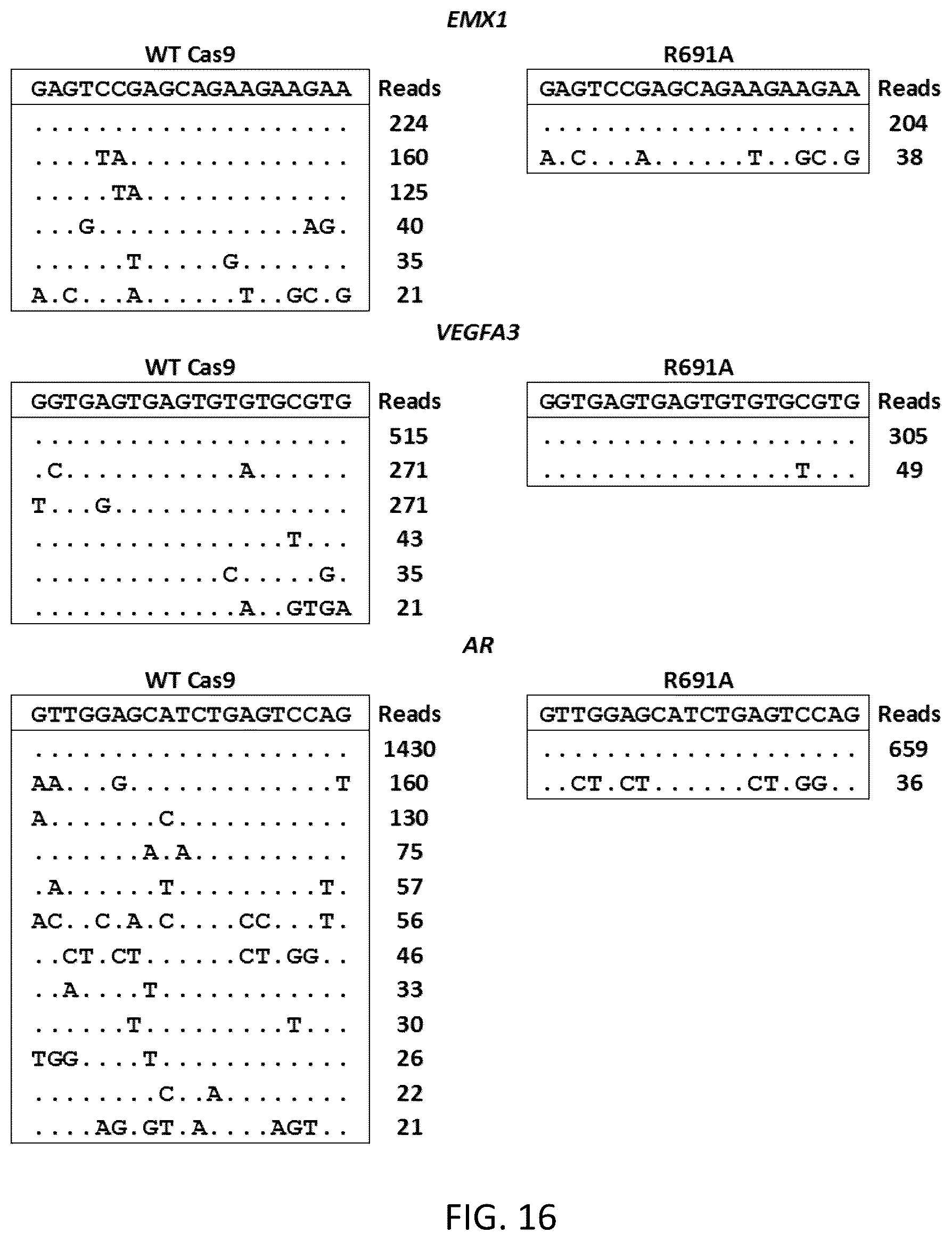 Patent US12351799 Figure 16 – S. pyogenes CAS9 mutant genes and polypeptides encoded by same
