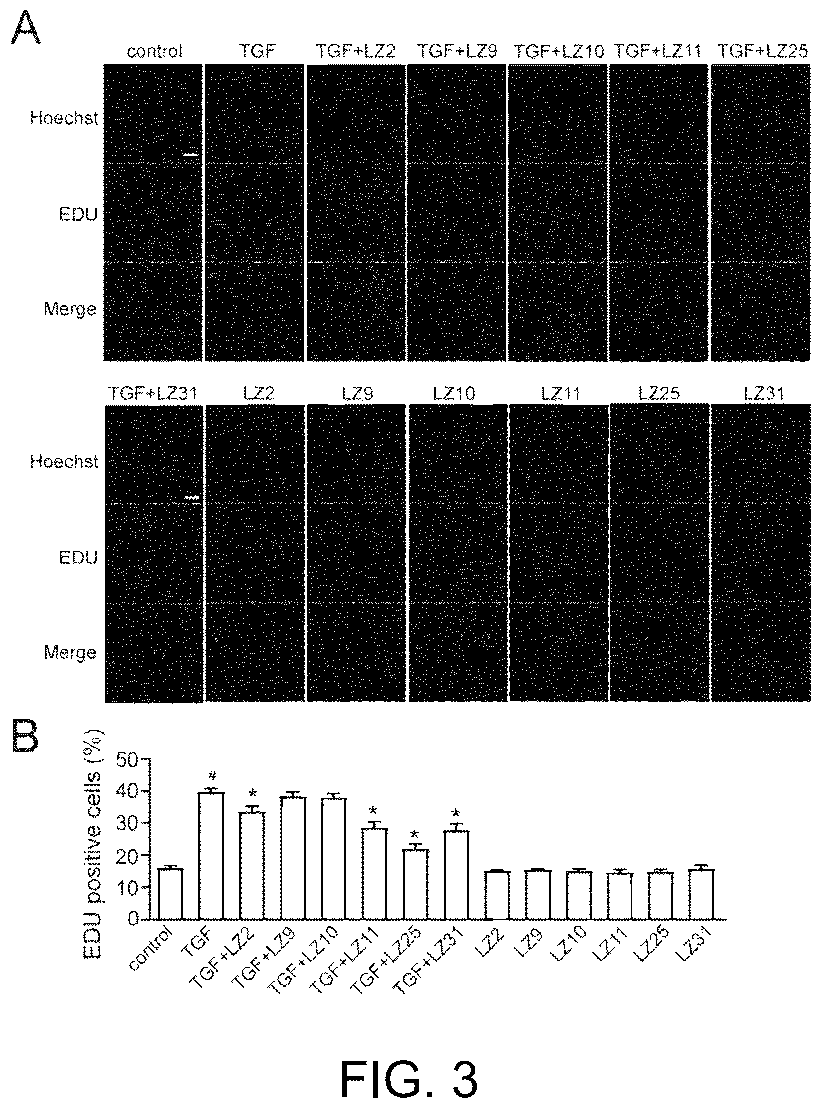 Patent US12351801 Figure 3 – Use of ganoderma fungal RNA molecules, drug, drug composition and delivery carrier