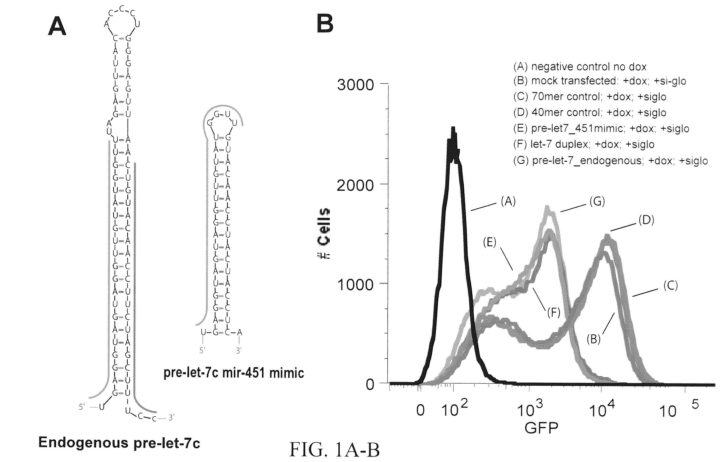 Patent US12351802 Figure 1 – Structurally designed shRNAs