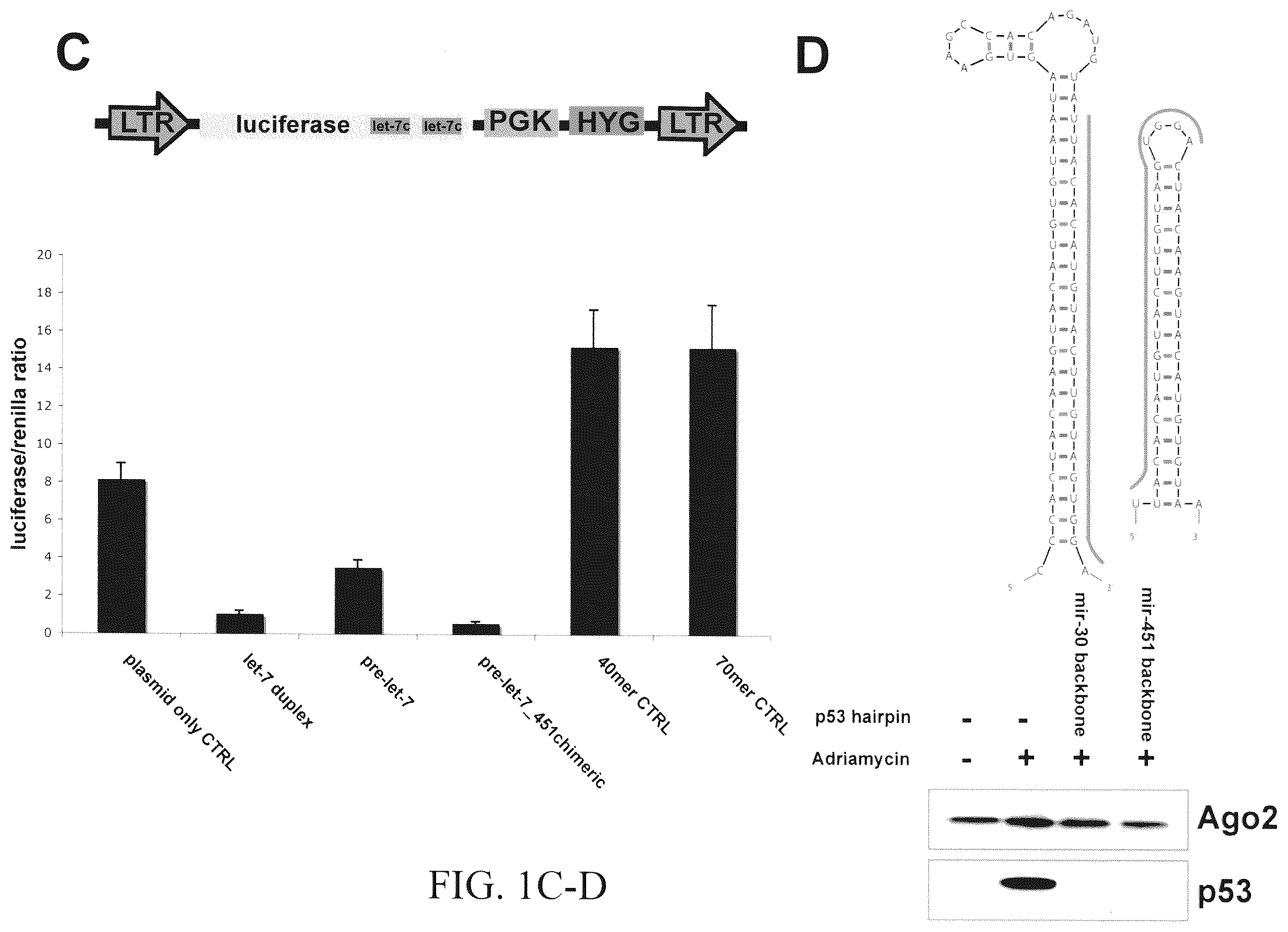 Patent US12351802 Figure 2 – Structurally designed shRNAs