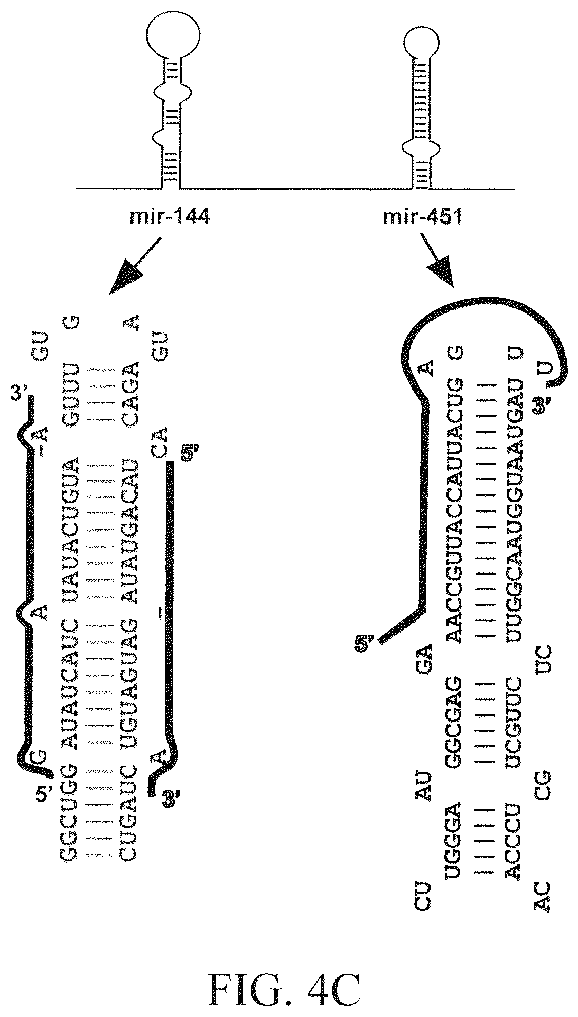 Patent US12351802 Figure 7 – Structurally designed shRNAs