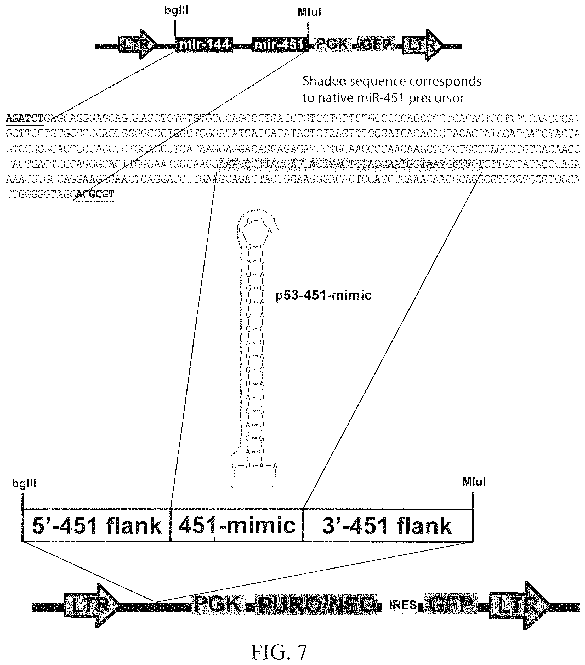 Patent US12351802 Figure 11 – Structurally designed shRNAs