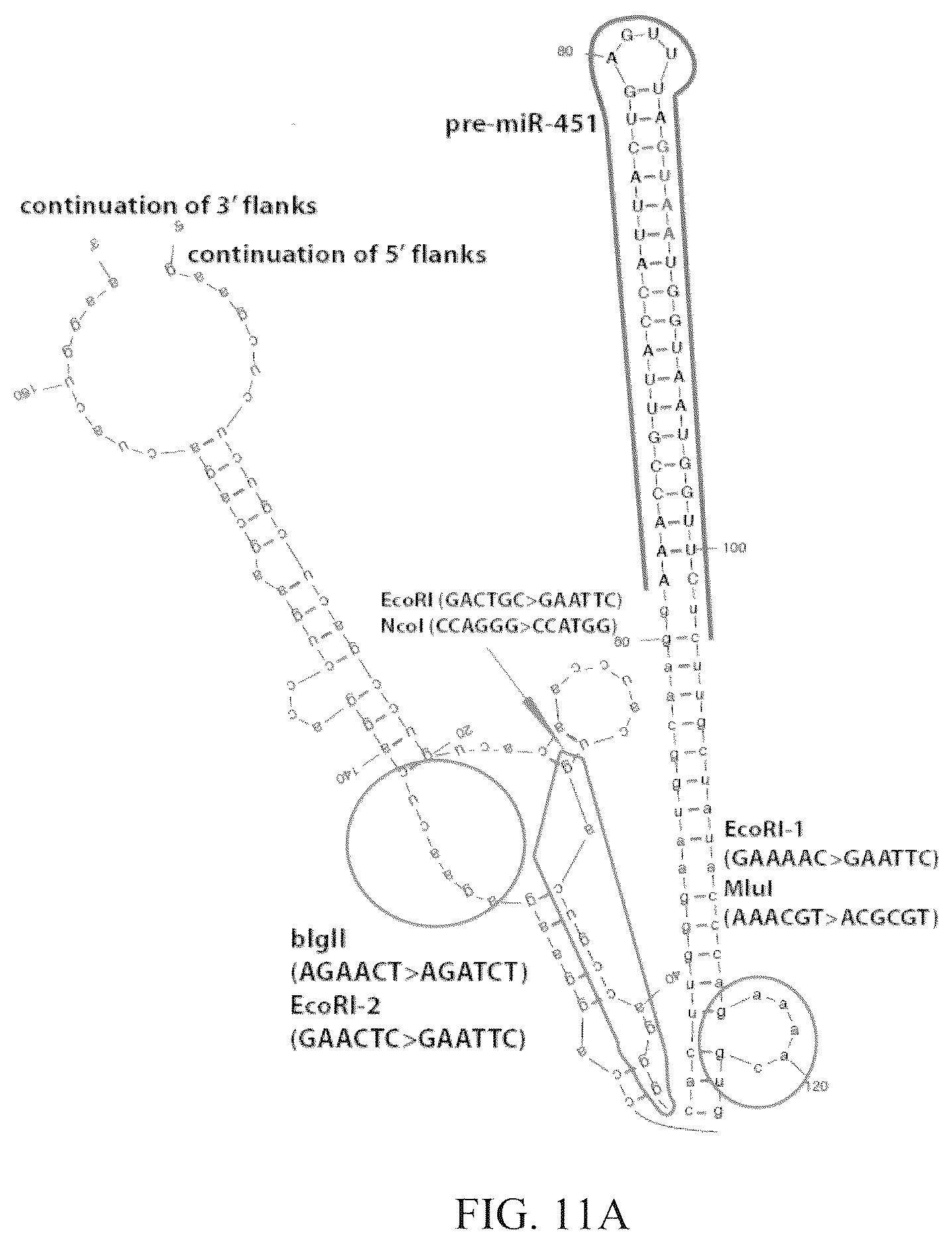 Patent US12351802 Figure 18 – Structurally designed shRNAs