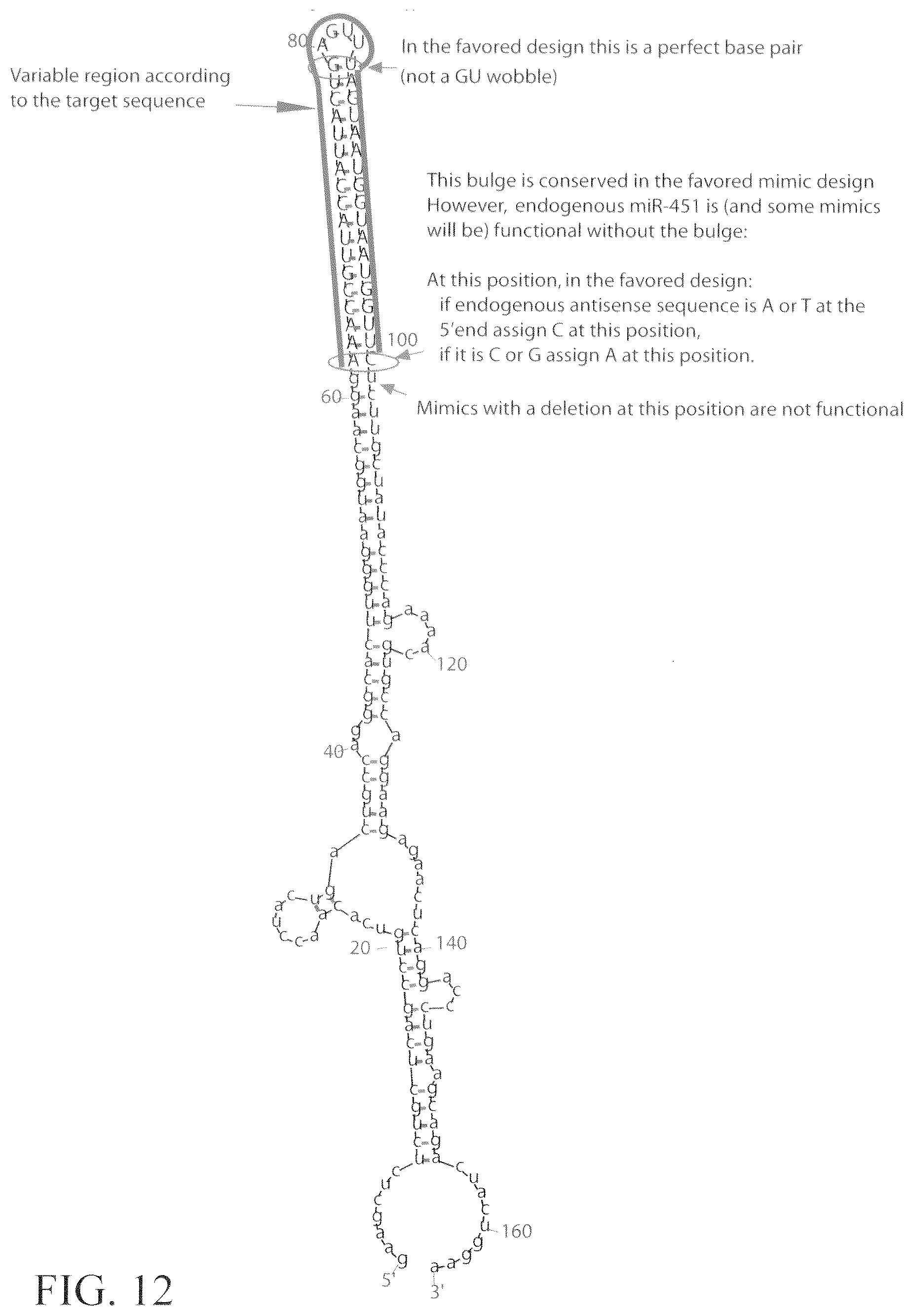 Patent US12351802 Figure 20 – Structurally designed shRNAs