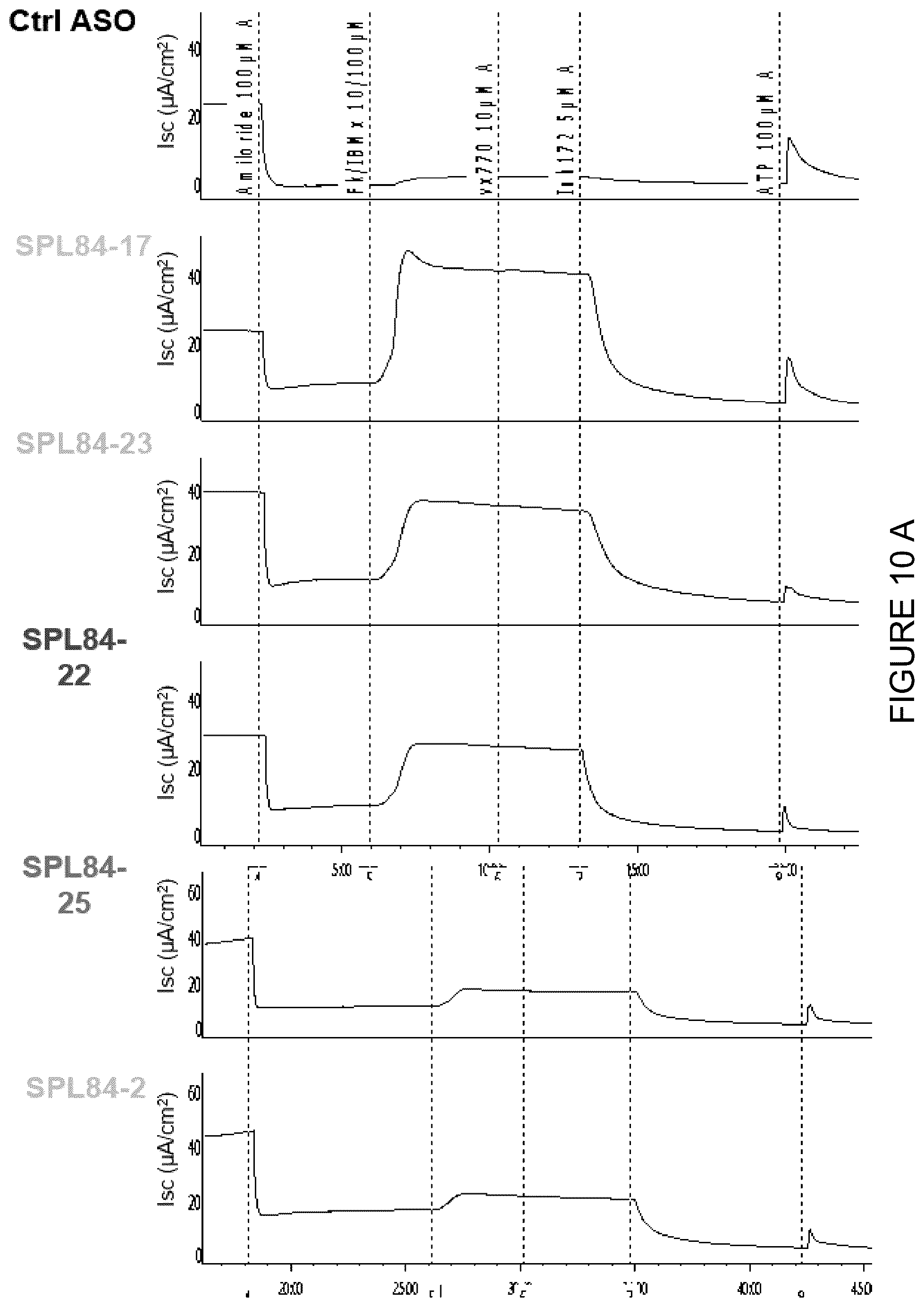 Patent US12351803 Figure 15 – Restoration of the CFTR function by splicing modulation