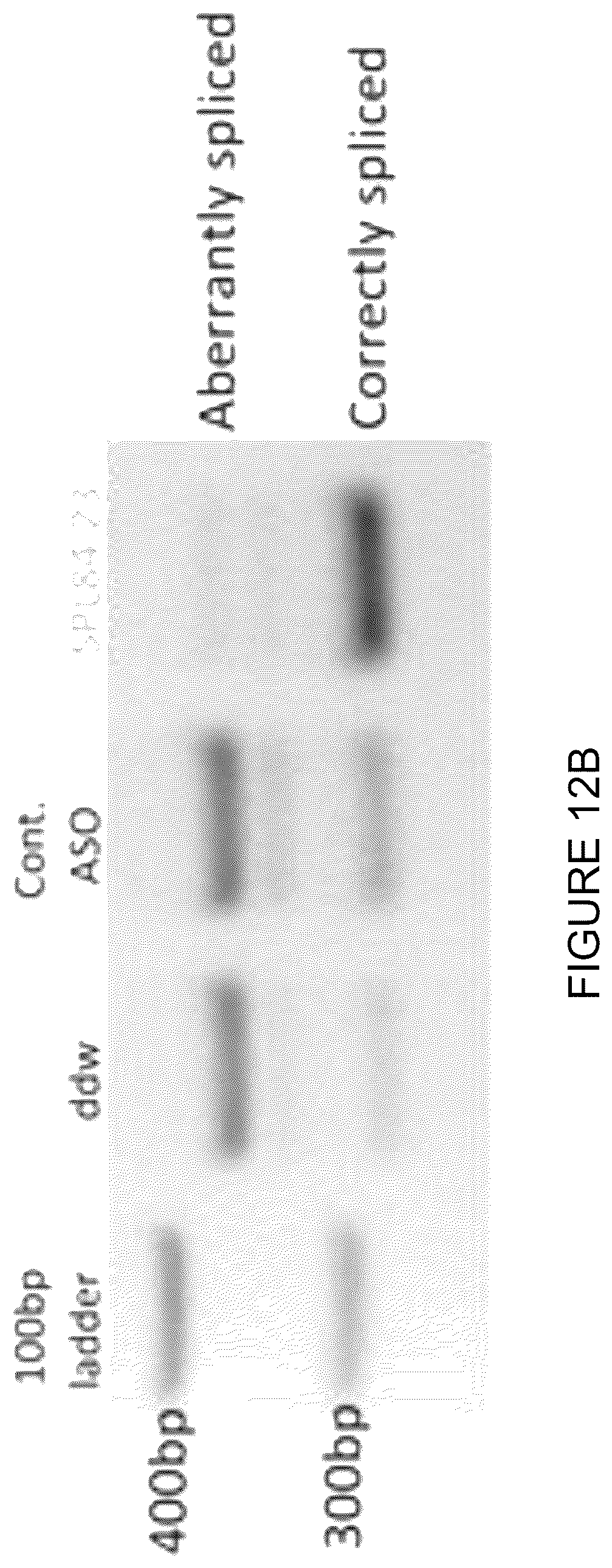 Patent US12351803 Figure 19 – Restoration of the CFTR function by splicing modulation