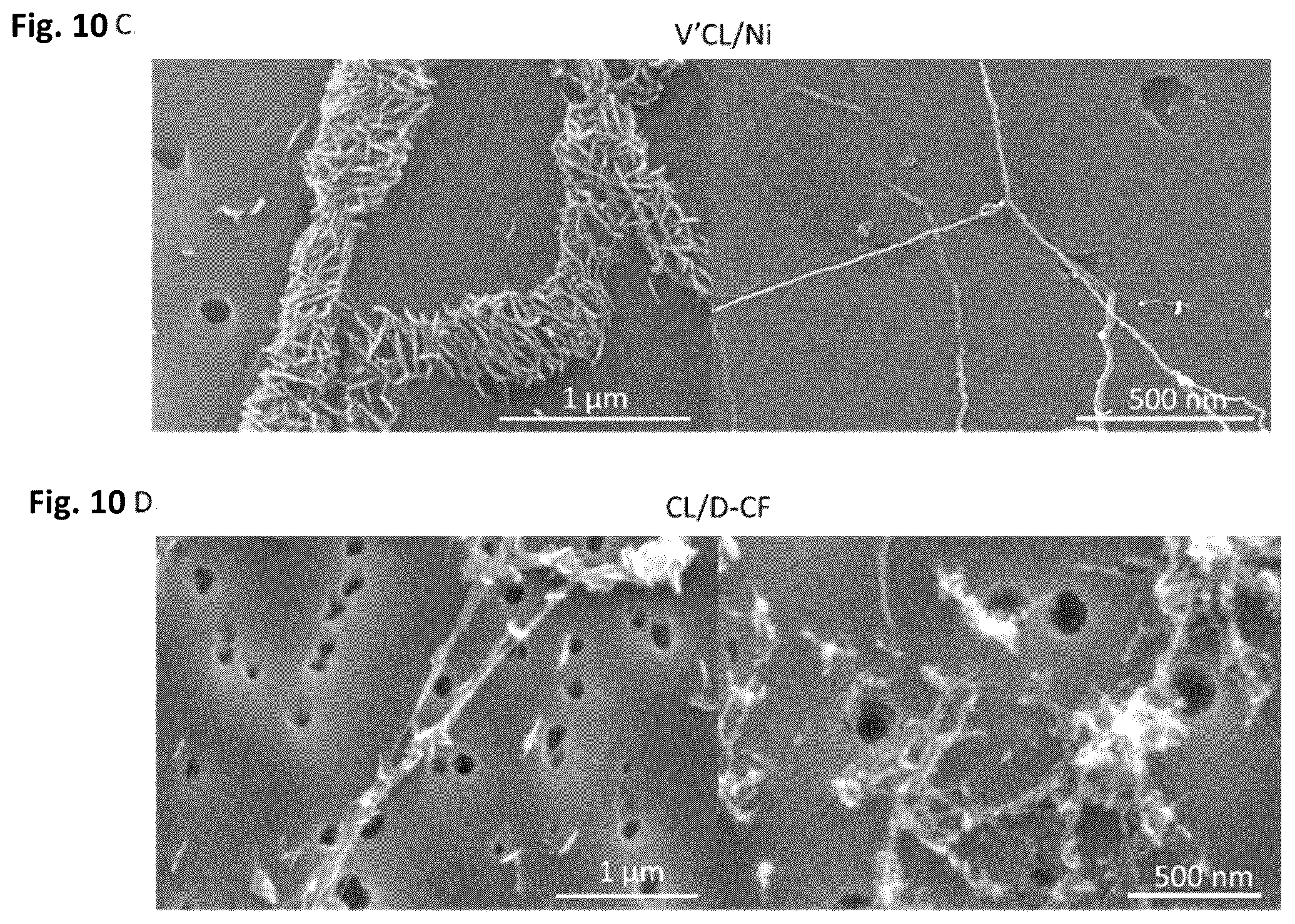 Patent US12351805 Figure 15 – Method of making recombinant silk and silk-amyloid hybrid proteins using bacteria